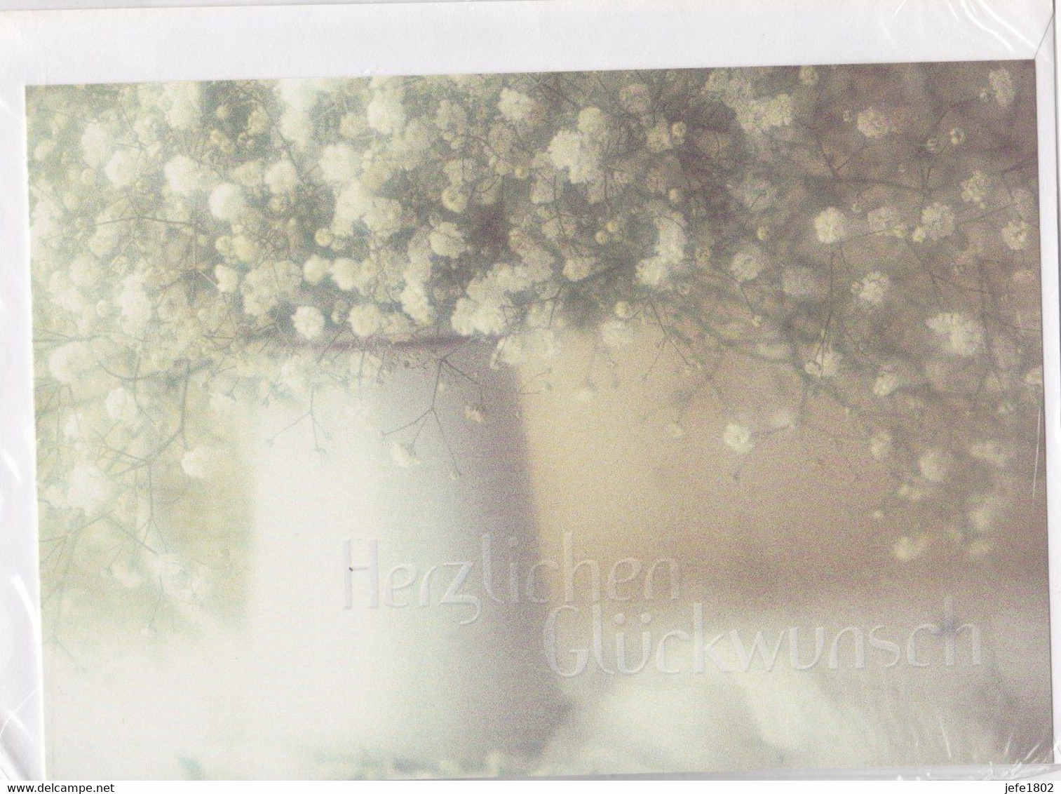 Postogram 223 D - Herzlichen Glückwunsch - Flowers - Fleurs - Blumen - Postogram