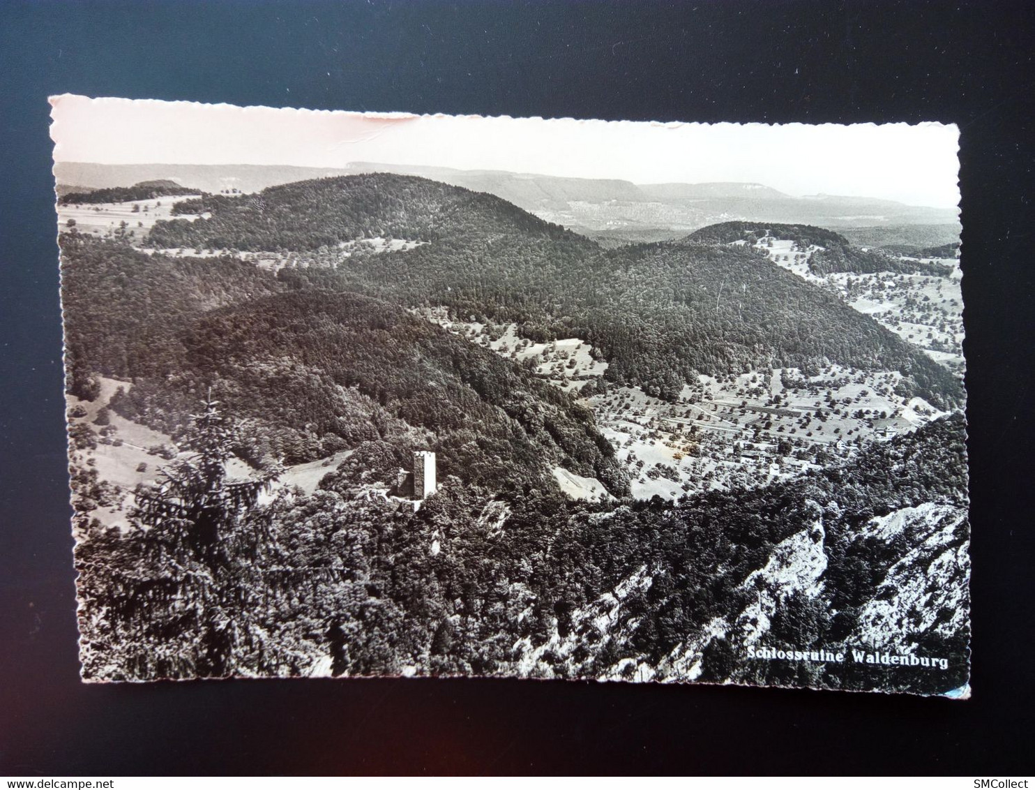 Schlossruine Waldenburg (5424) - Waldenburg