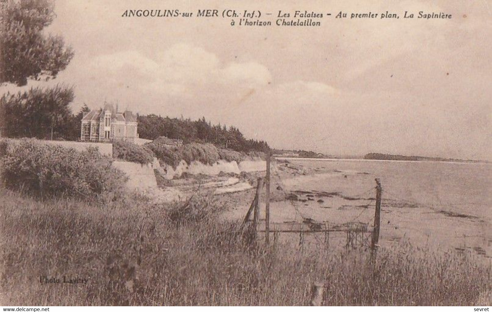 ANGOULINS Sur MER  - Les Falaises- Au 1er Plan, La Sapinière, à L'horizon Chatelaillon - Angoulins