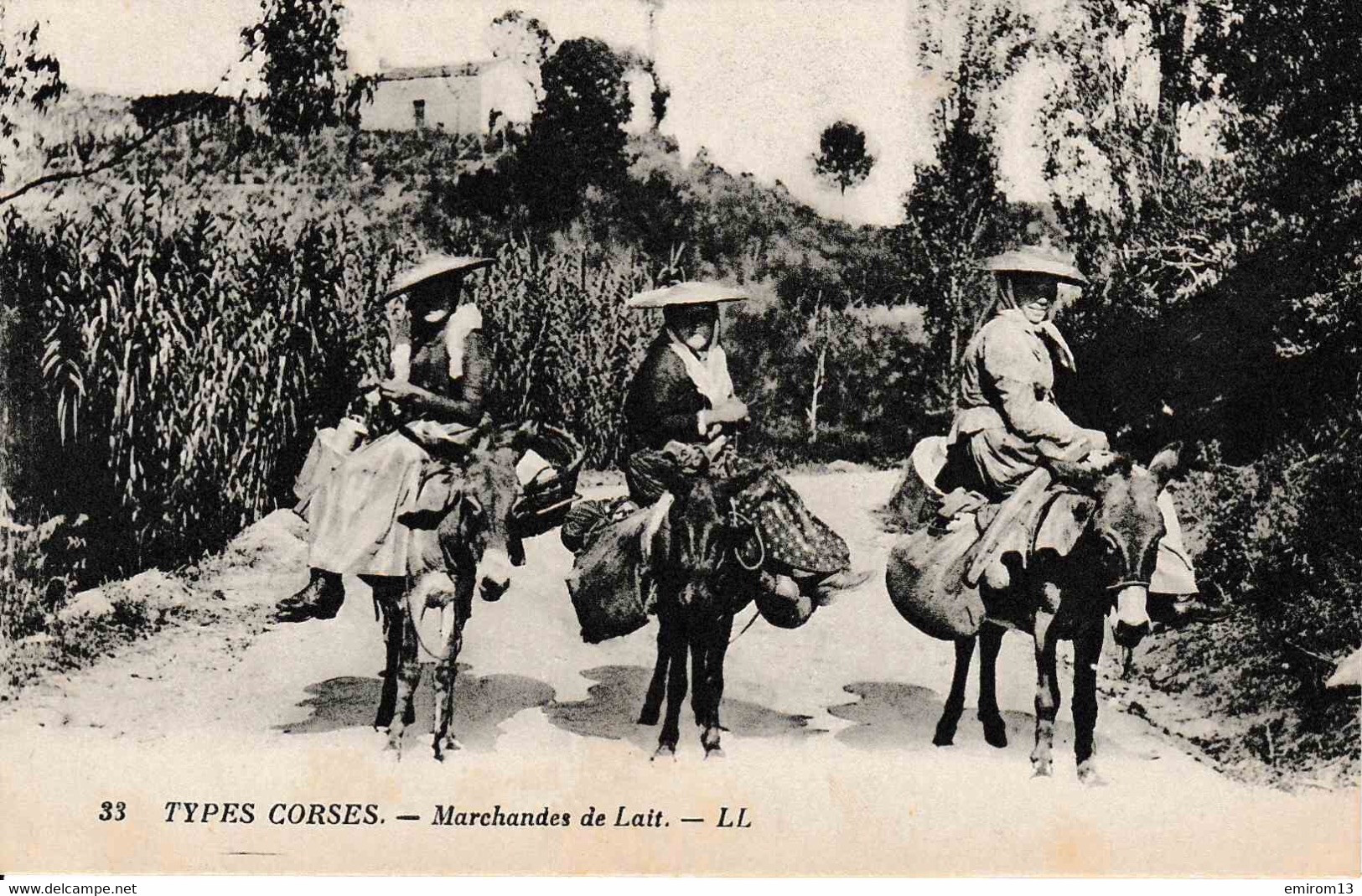 [20] Types Corse Marchandes De Lait LL Ânes ! Belle Animation - Sonstige & Ohne Zuordnung