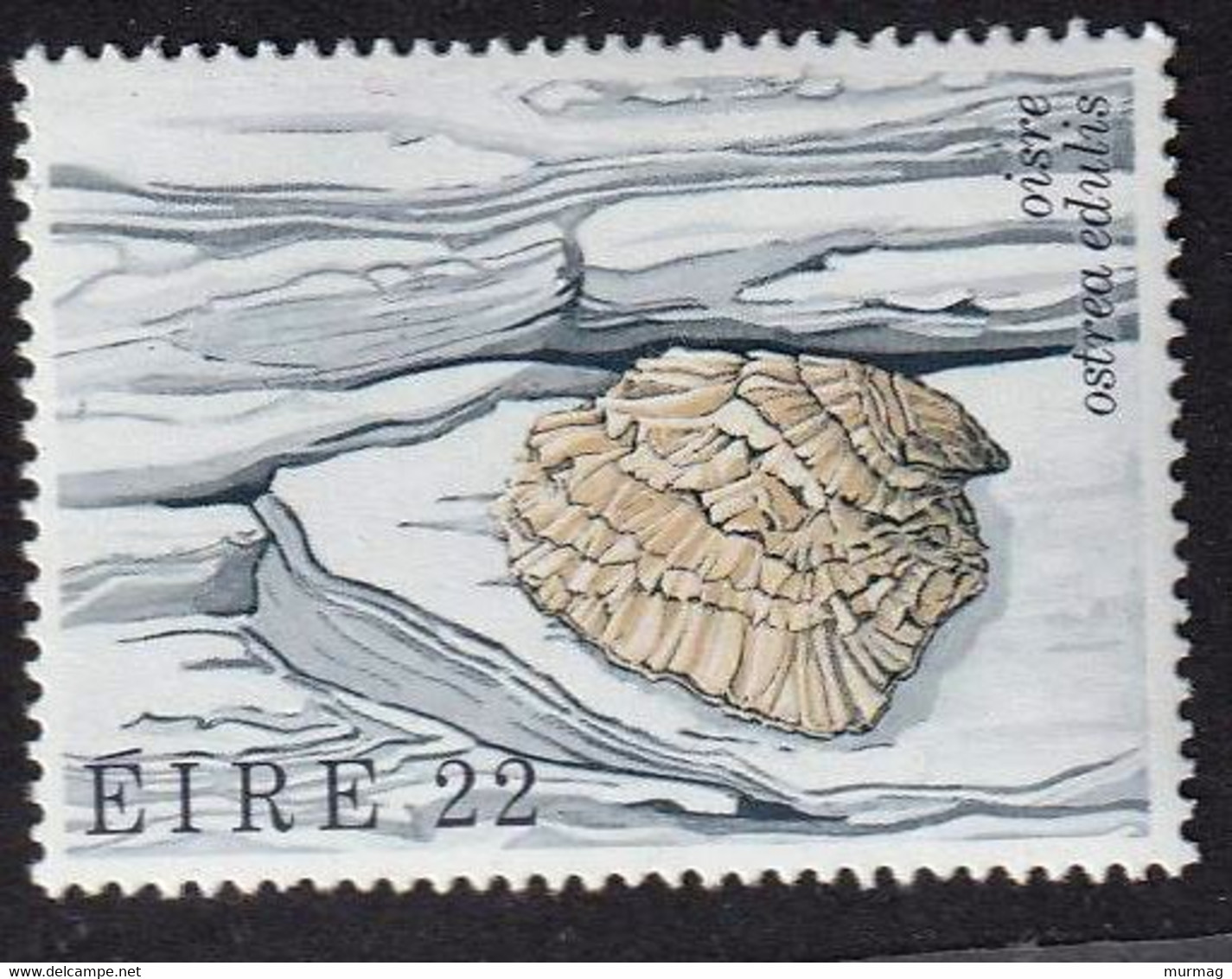 EIRE (Irlande) - Faune, Poissons, Crevette, Coquillages - Y&T N° 475-478 - MNH - 1982 - Autres & Non Classés