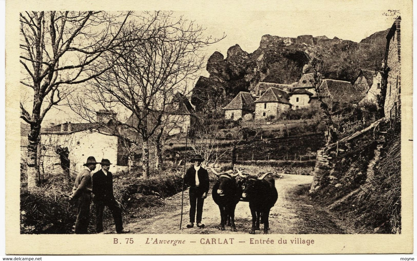 7050 -   Cantal -  CARLAT  :  Entrée  Du  Village   , Trés Bel Attelage De Boeufs    - CIRCULEE/enveloppe - Carlat