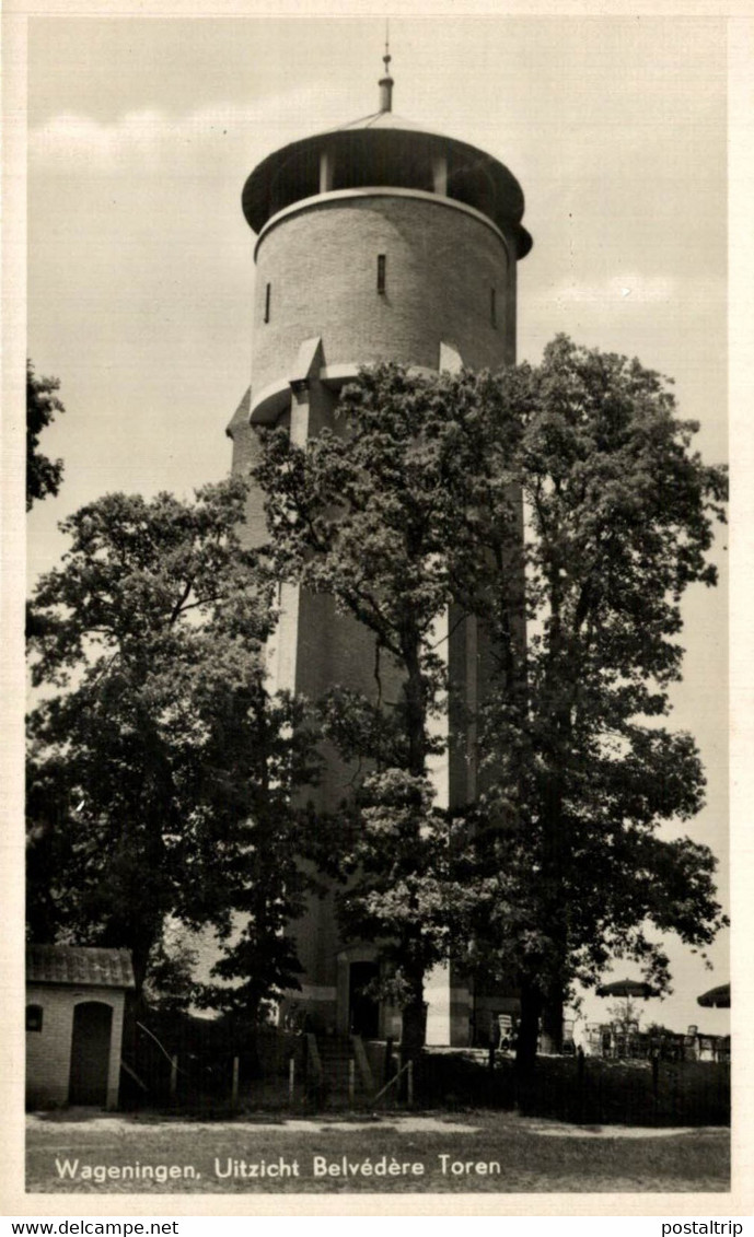 WAGENINGEN UITZICHT BELVÉDÈRE TOREN GELDERLAND WAGENINGEN HOLLAND HOLANDA NETHERLANDS - Wageningen