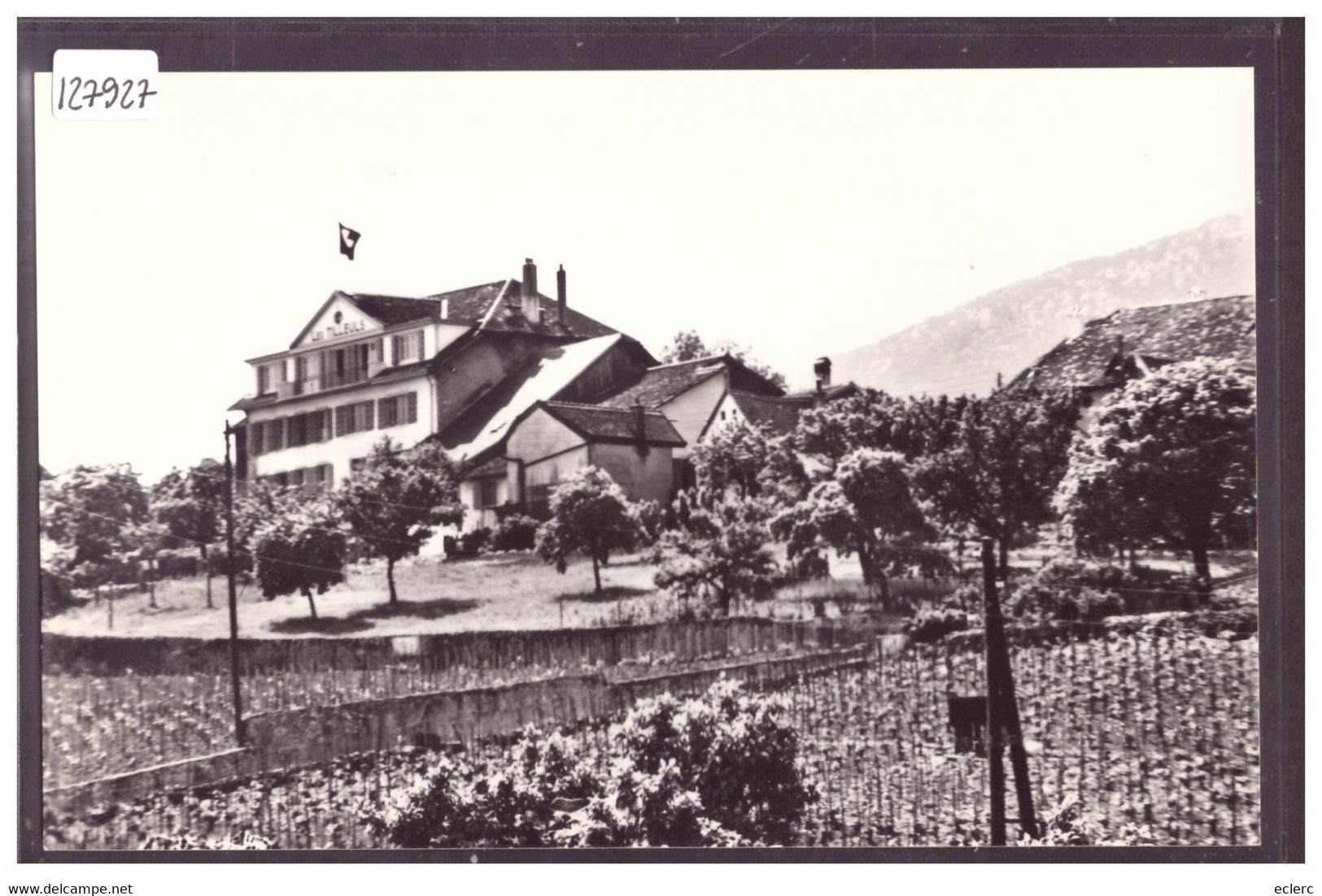 GORGIER - HOTEL LES TILLEUILS - TB - Gorgier