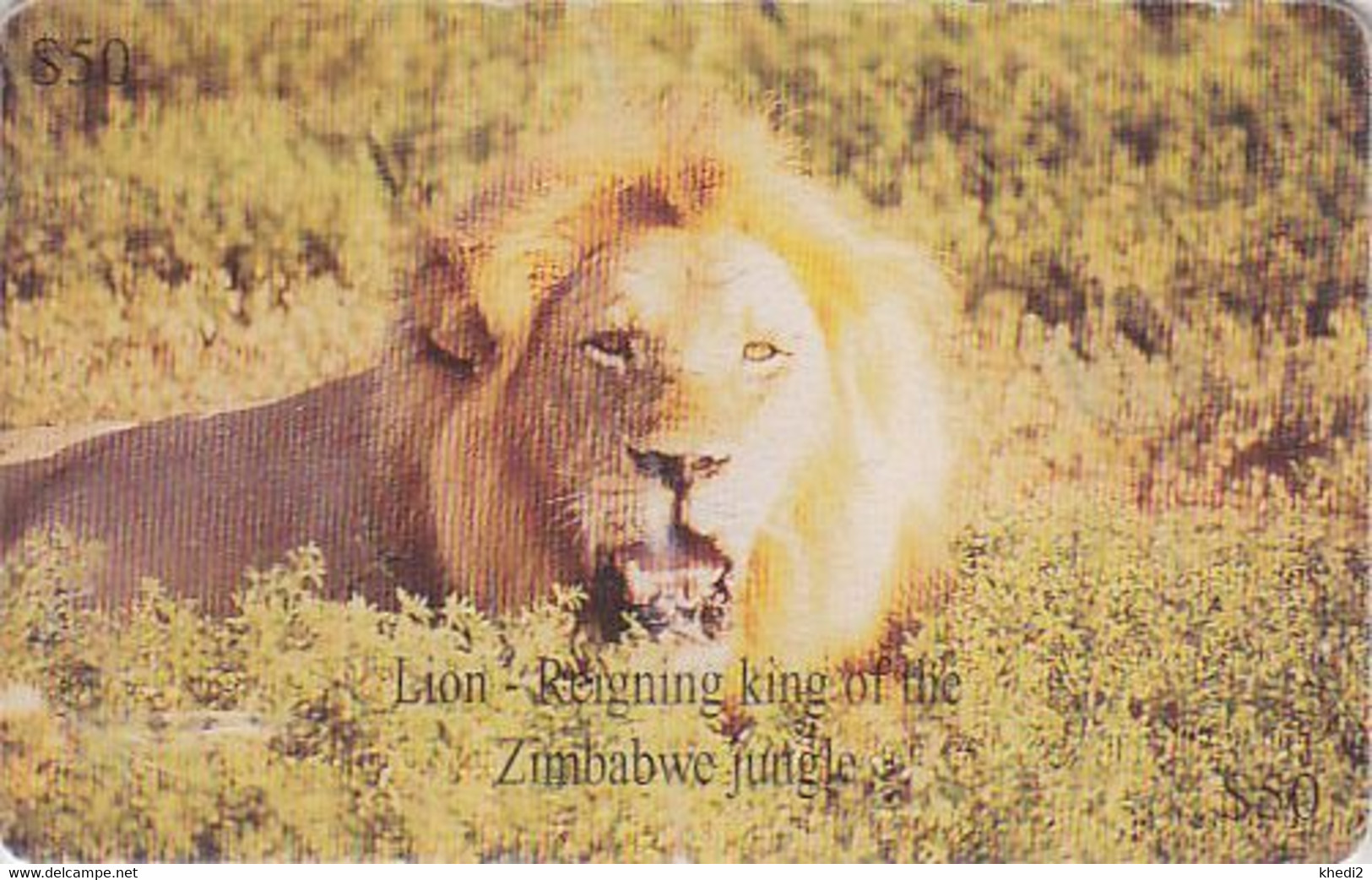 Télécarte Puce ZIMBABWE - ANIMAL - Félin LION - Feline Chip Phonecard - 557 - Simbabwe