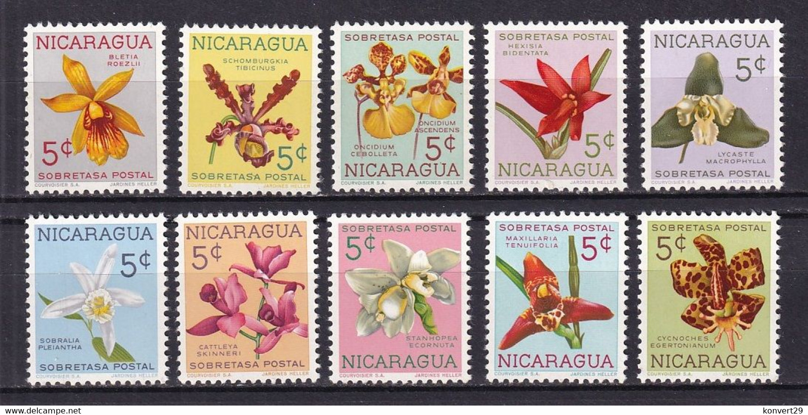 Nicaragua 1962 Flowers Orchids MNH ** - Orquideas