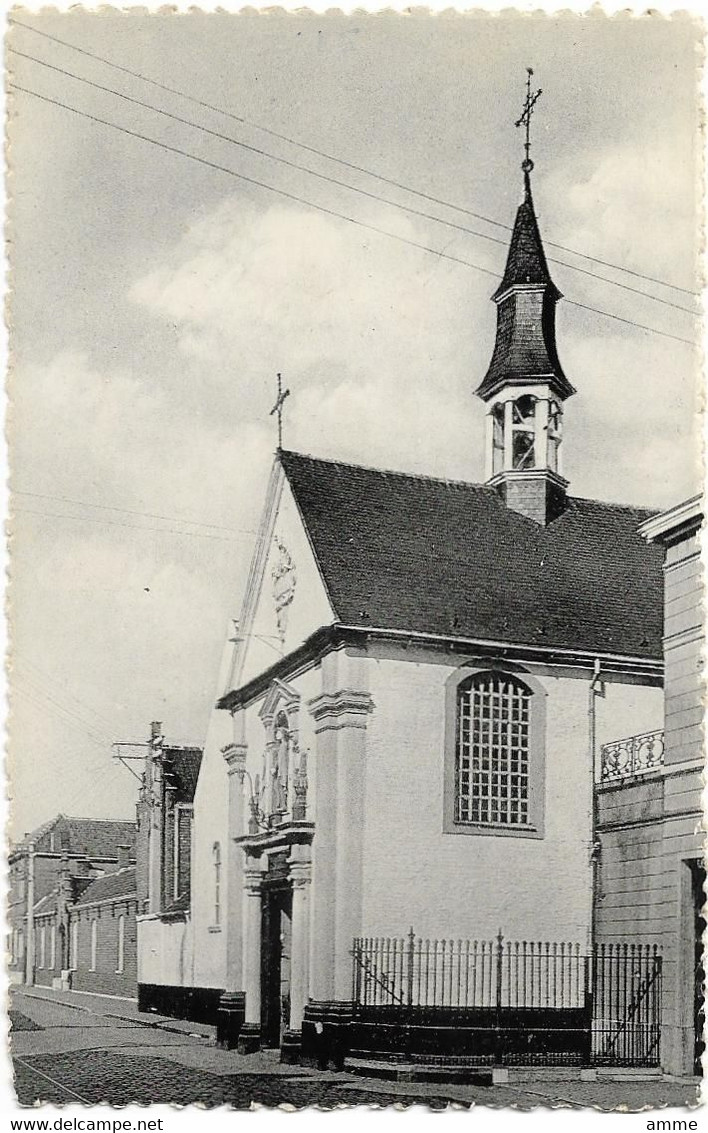 Zele   * Kouter Kapel, Toegewijd Aan O.L. Vrouw Der Zeven Weeën - Zele