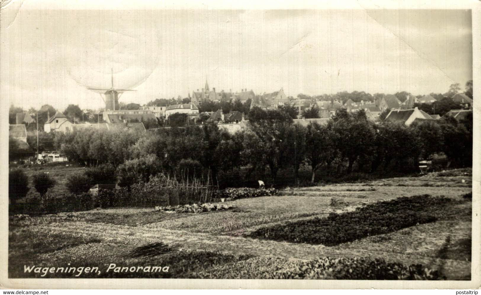 WAGENINGEN  Panorama  Gerderland  HOLLAND HOLANDA NETHERLANDS - Wageningen