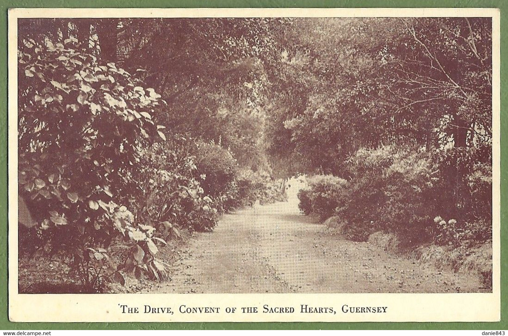 CPA Dos Simple Vue Rare - GUERNSEY - THE DRIVE, CONVENT OF THE SACRED HEARTS - - Guernsey