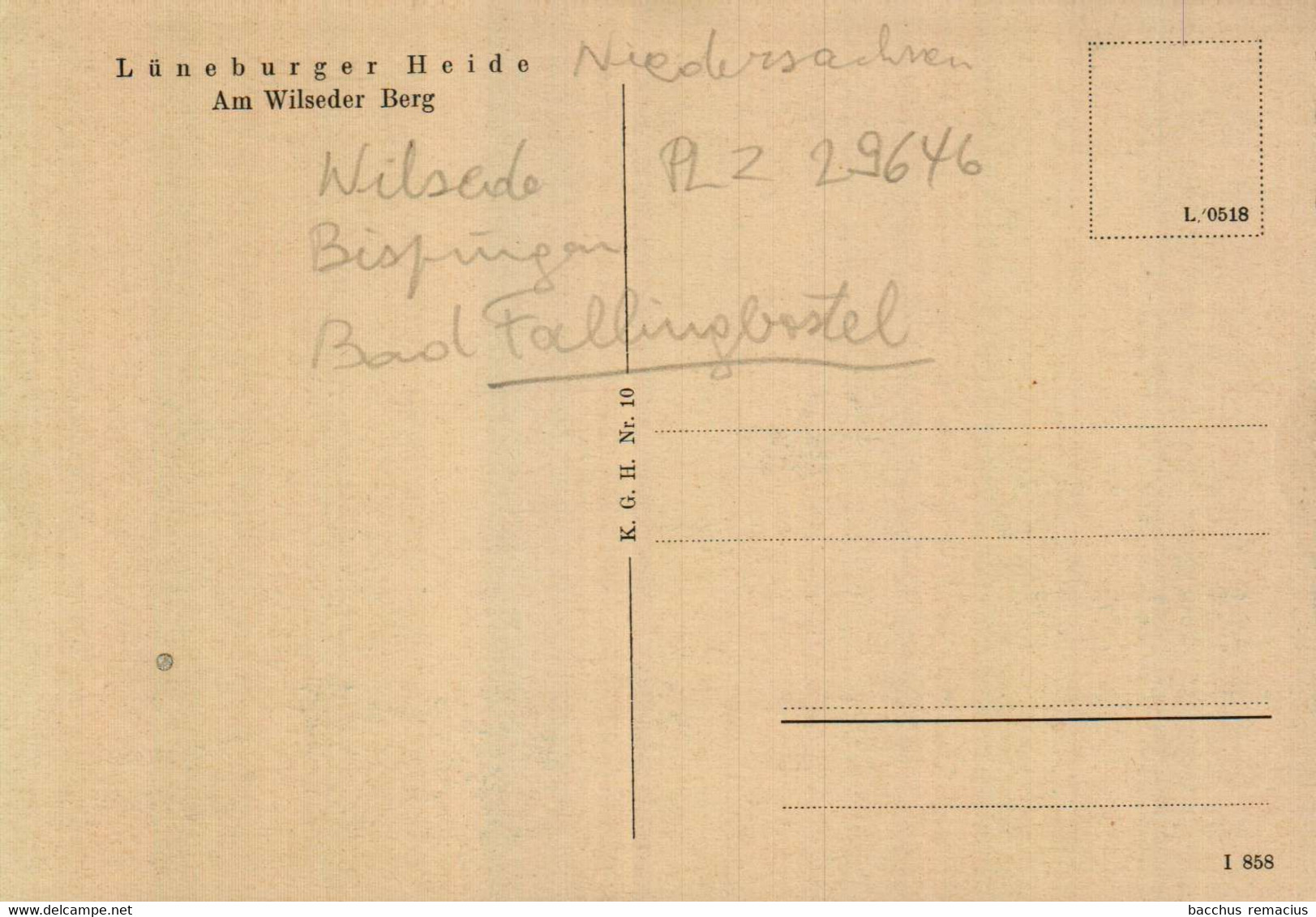 LÜNEBURGER HEIDE    Am Wilseder Berg - Fallingbostel