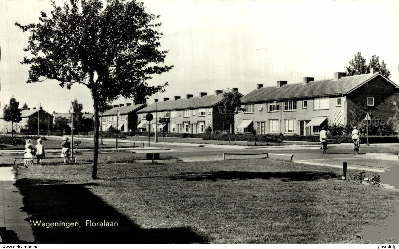 WAGENINGEN  Floralaan  Gerderland  HOLLAND HOLANDA NETHERLANDS - Wageningen