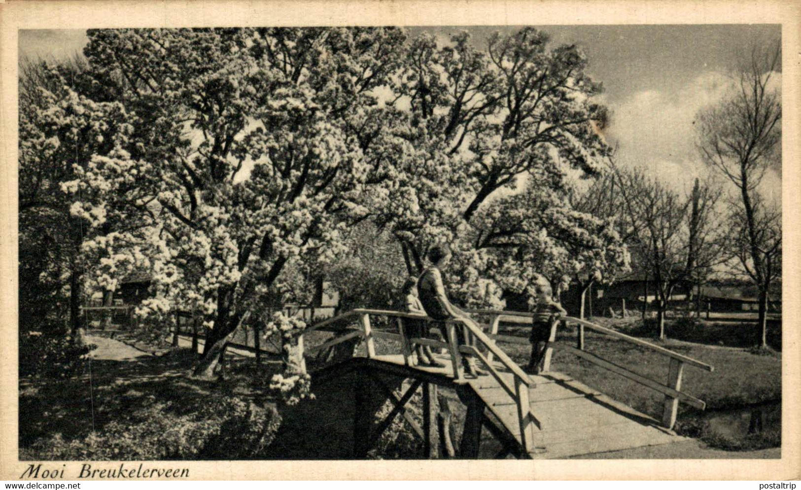 Mooi Breukelerveen Kinderen Op De Houten Brug Voorjaar Spring Breukelen Utrecht HOLLAND HOLANDA NETHERLANDS - Breukelen