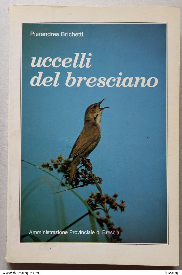 UCCELLI DEL BRESCIANO - EDIZIONE  DEL 1982 ( CART 72) - Nature