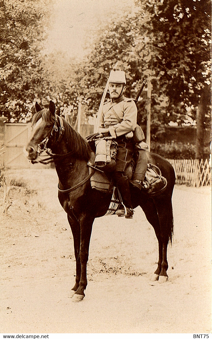 Chasseur D'Afrique - Regiments