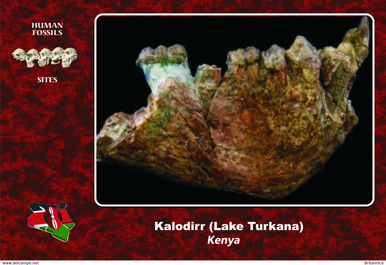 Set 3 Cartes Postales, Prehistoire, Human Fossil Sites, Kalodirr (Turkana Lake)(Kenya), Afropithecus Turkanensis - History