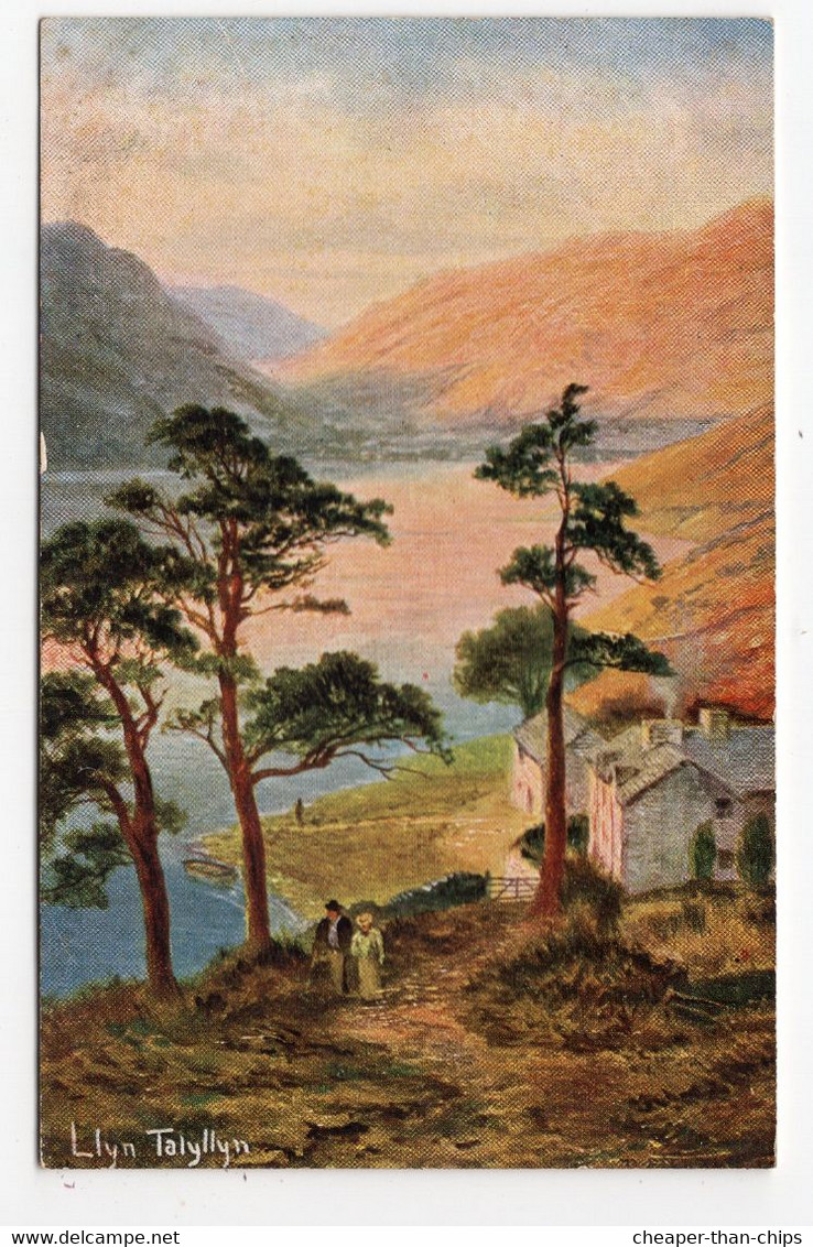 LLYN TALYLLYN - Hildesheimer 5351 - Breconshire