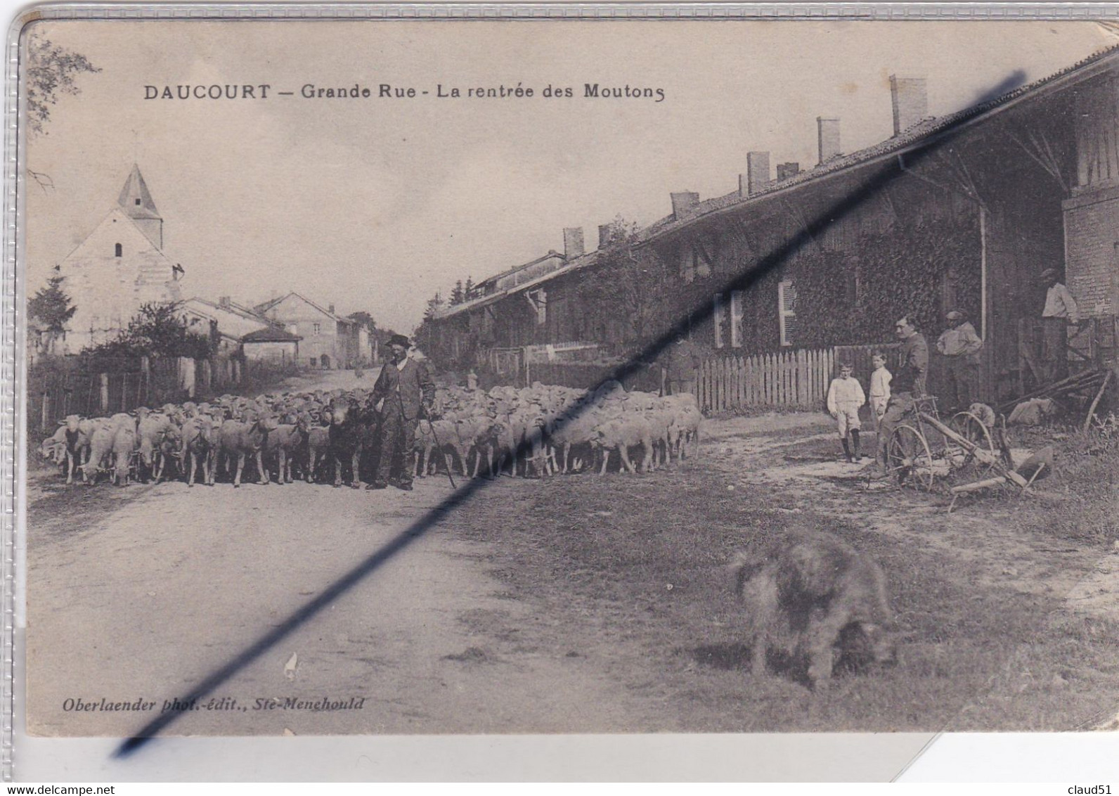 Daucourt (51) Grande Rue . La Rentrée Des Moutons - Other & Unclassified