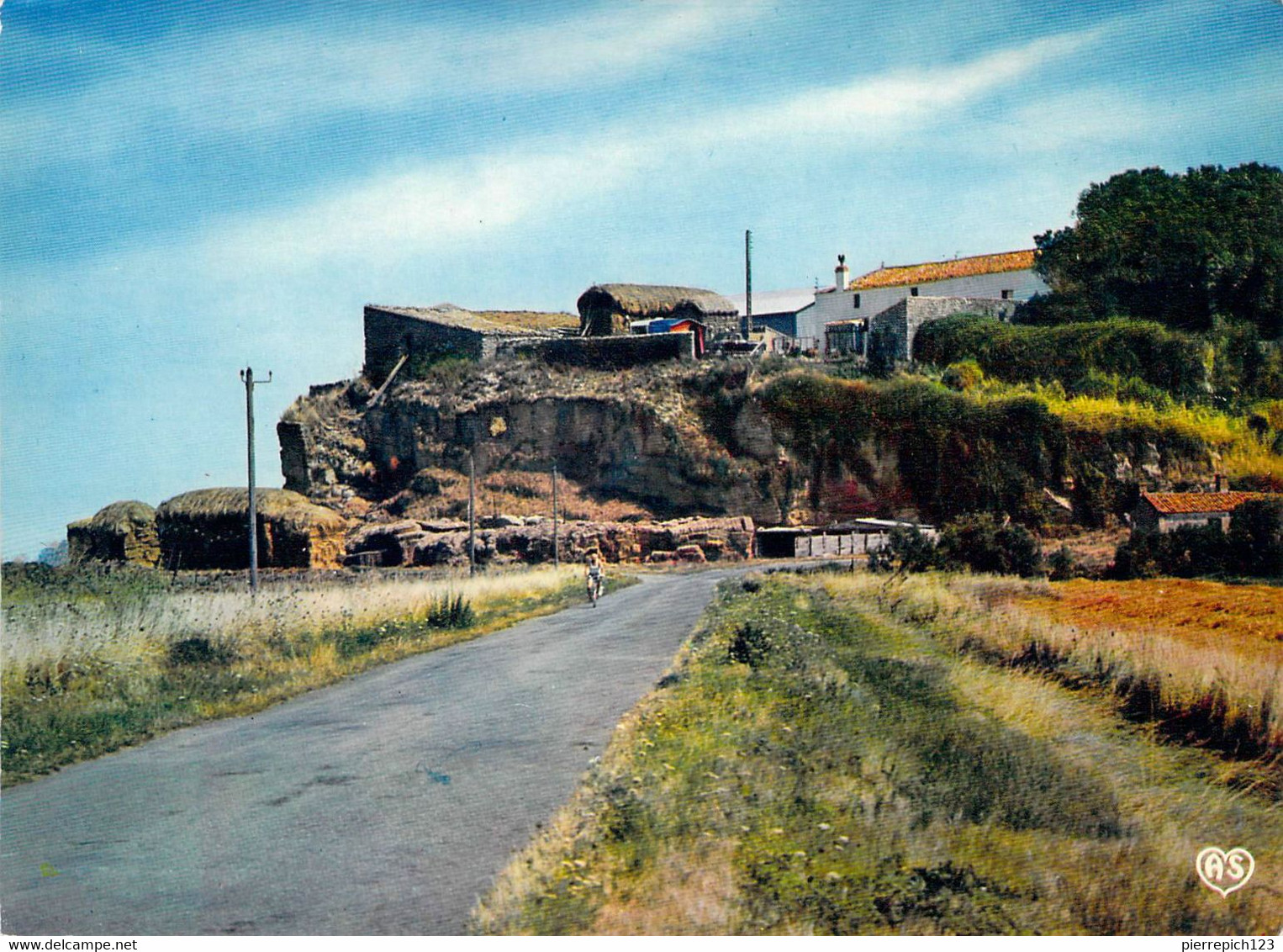 85 - Saint Michel En L'Herm - Rocher De La Dives - Saint Michel En L'Herm