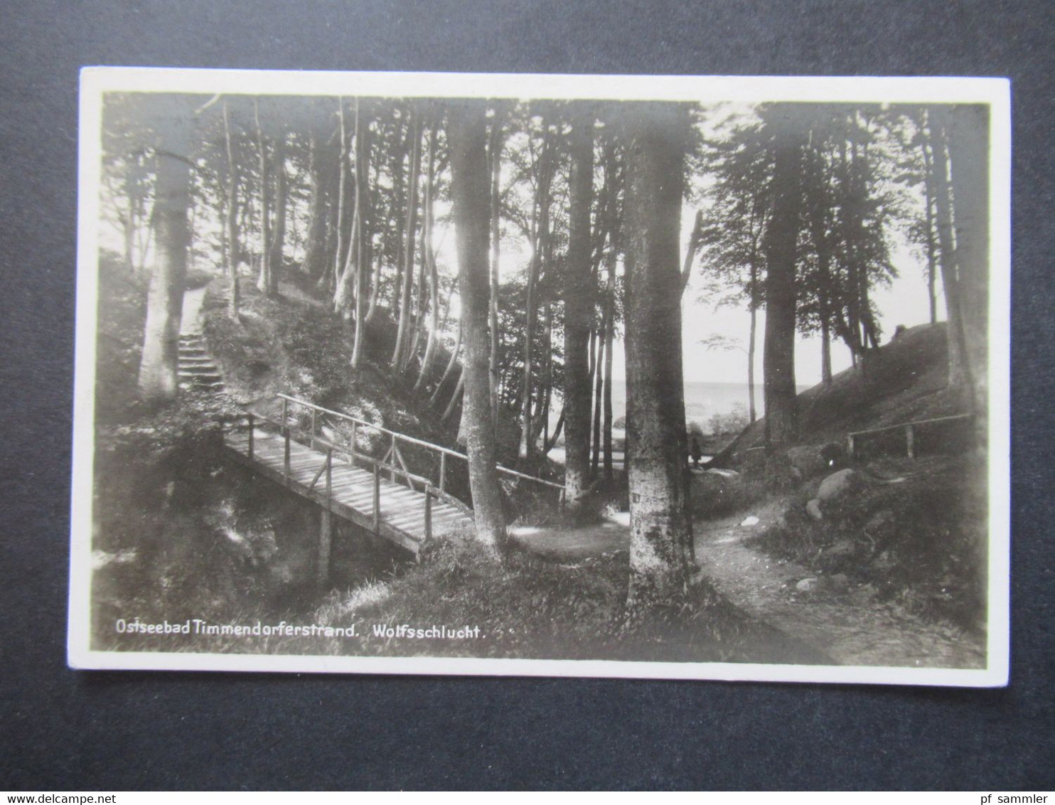 DR 1930 Echtfoto AK Ostseebad Timmendorferstrand Wolfsschlucht Verlag Julius Simonsen Tagesstempel Lübecker Bucht - Timmendorfer Strand