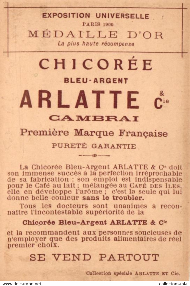 6 Cartes Chromo Serie  Chicorée  Arlatte & C° Cambrai Bulbes de Savon Soap Bubbles Zeep Bellen  Eléphant