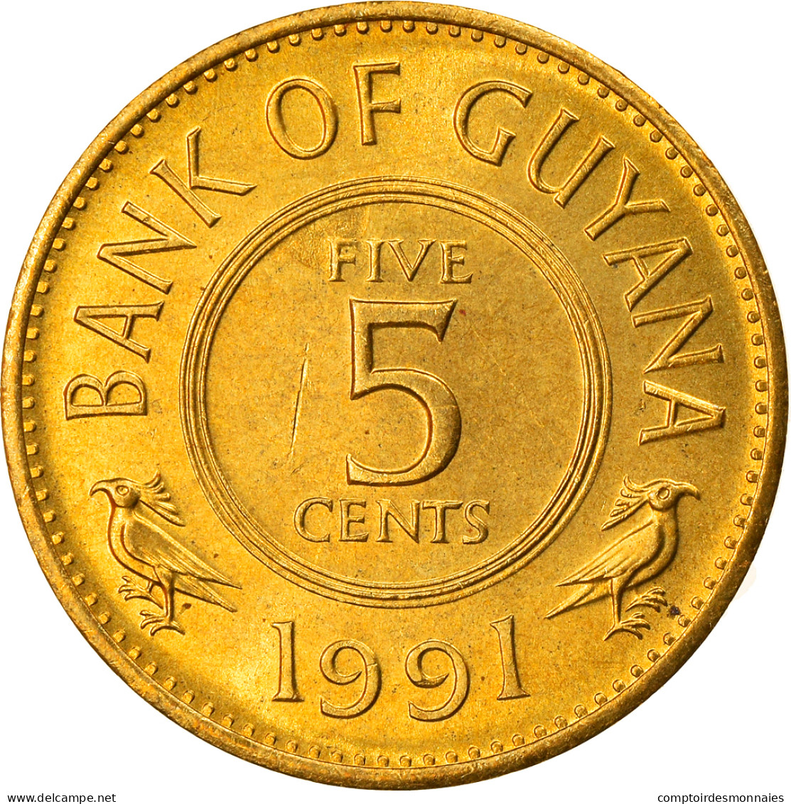 Monnaie, Guyana, 5 Cents, 1991, SPL, Nickel-brass, KM:32 - Guyana
