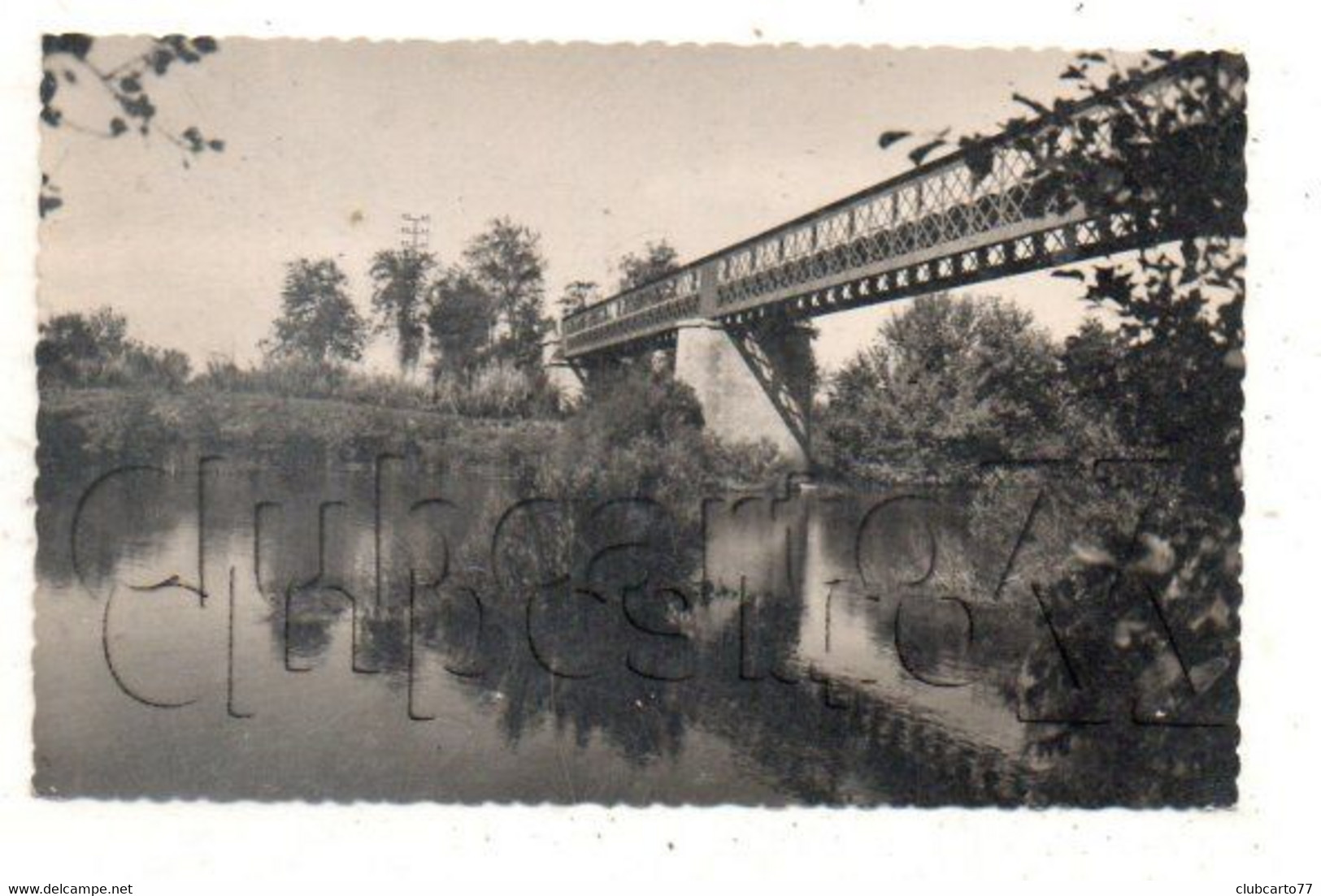 Paulhan (34) : Le Pont En Fer Pris Des Bords De L'Hérault En 1954 PF. - Paulhan