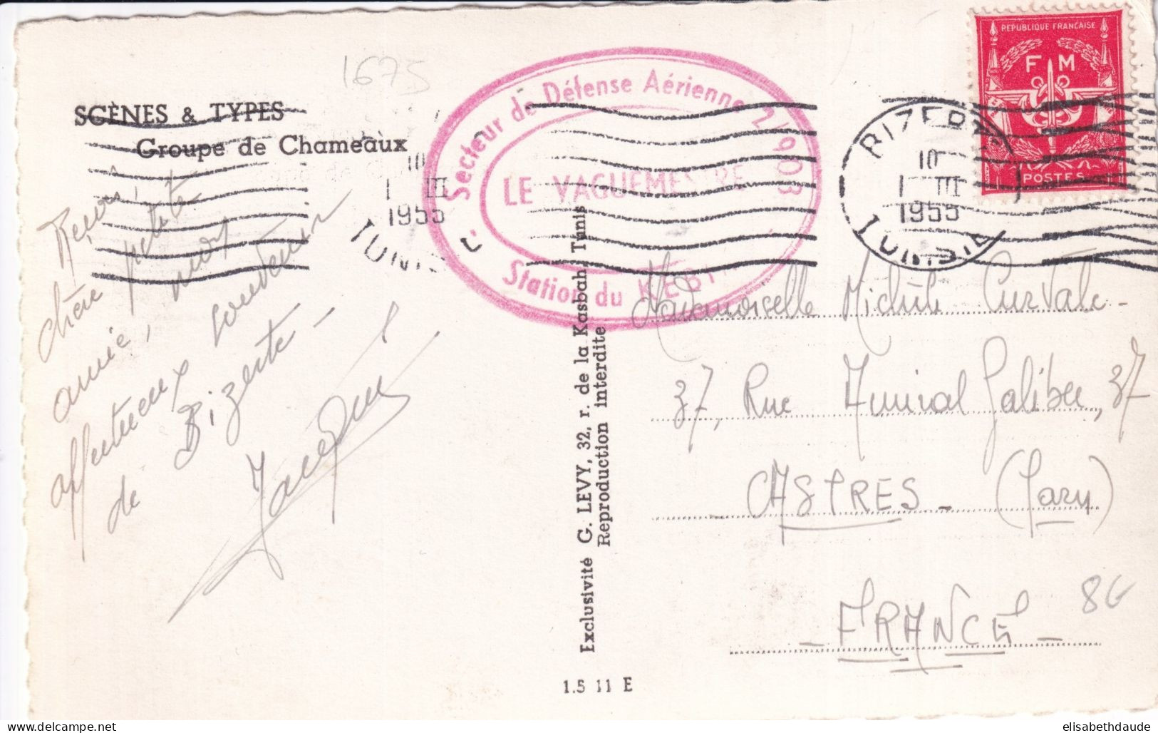 1955 - DEFENSE AERIENNE En TUNISIE ! - CARTE FM De BIZERTE => CASTRES - Brieven En Documenten