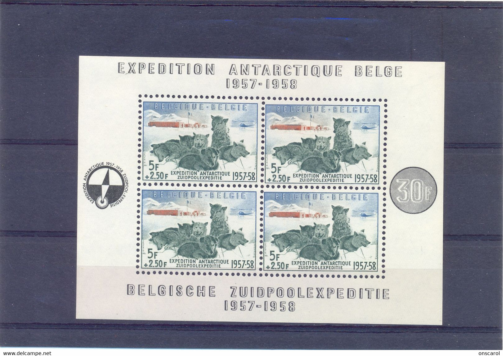 BL31 Postgaaf ** MNH  PRACHTIG  Zuidpool - 1924-1960