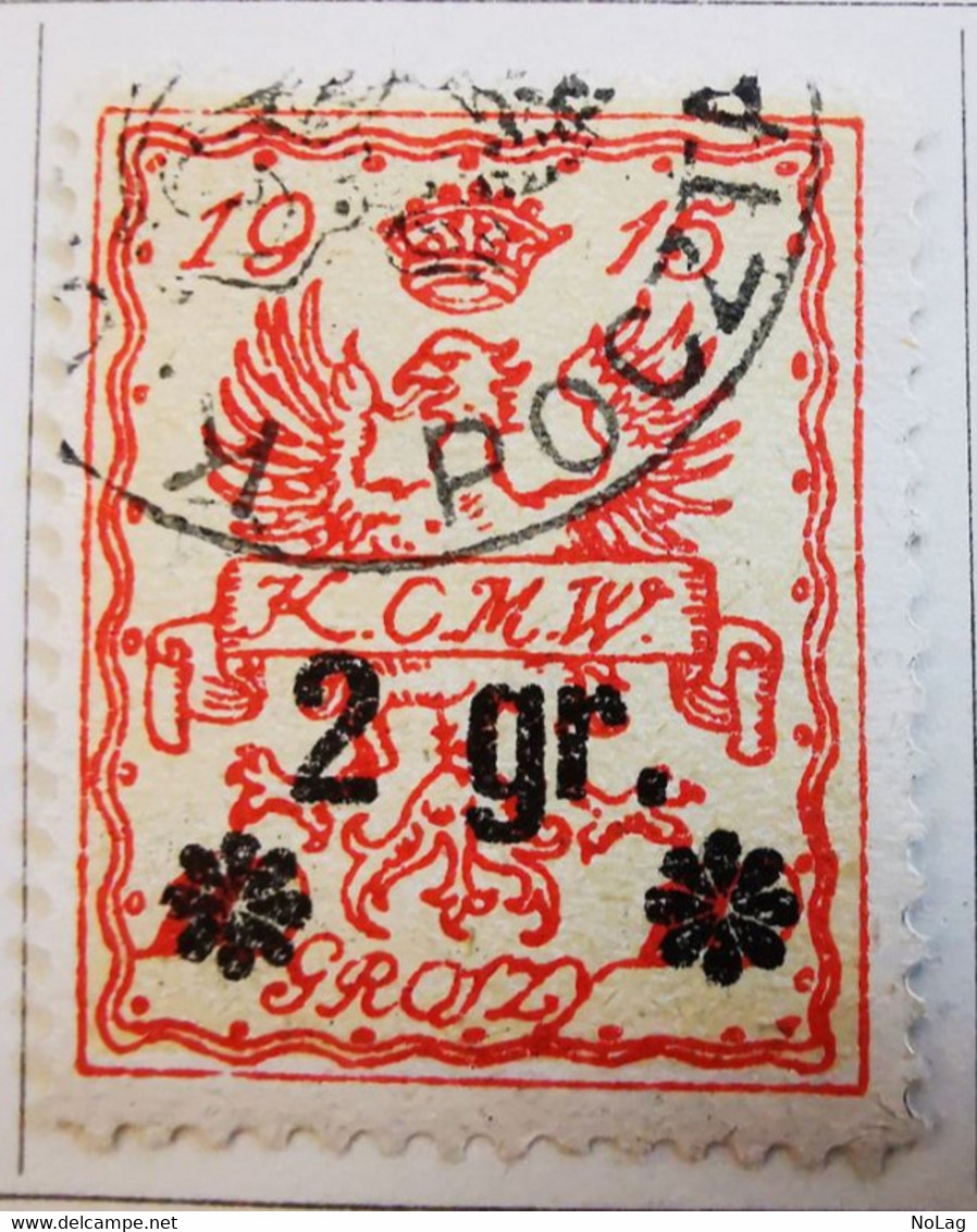 Pologne - 1915-16 _ Timbres- Service Intérieur _ Y&T N°12 _ 2gr. S. 10 Rouge S.bistre - Dienstmarken