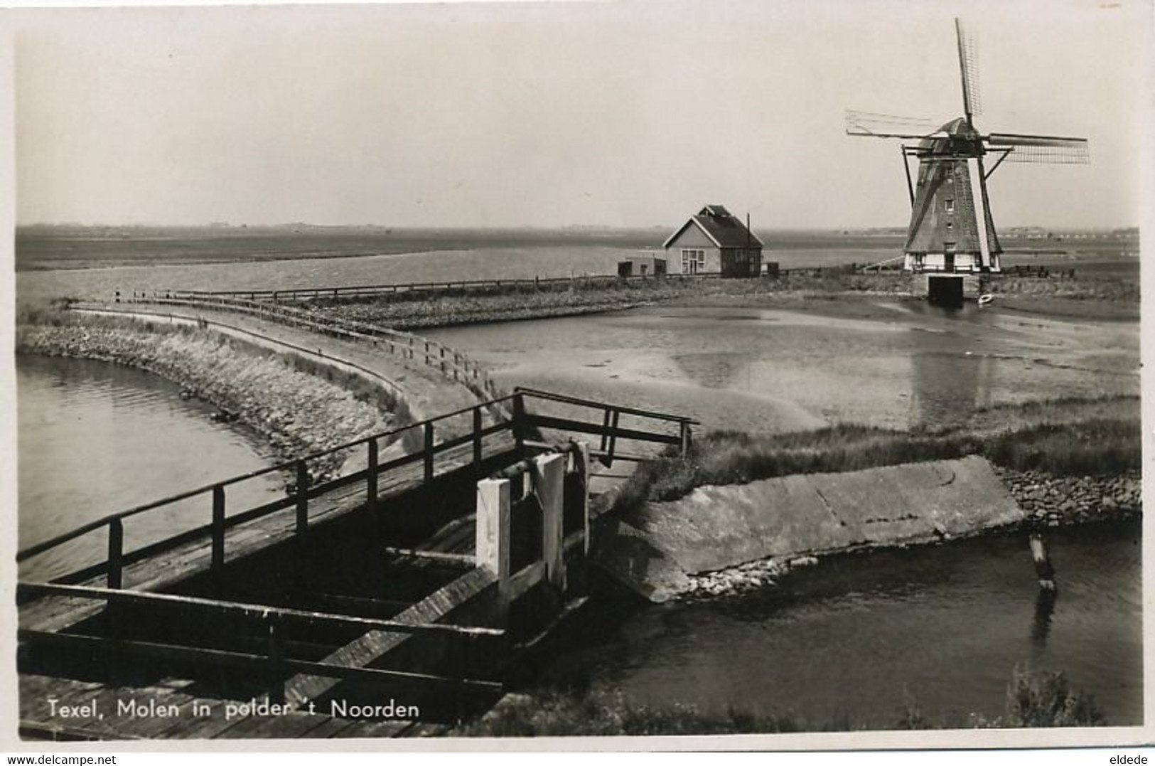 Real Photo  Texel Molen In Polder  Wind Mill Moulin à Vent - Texel