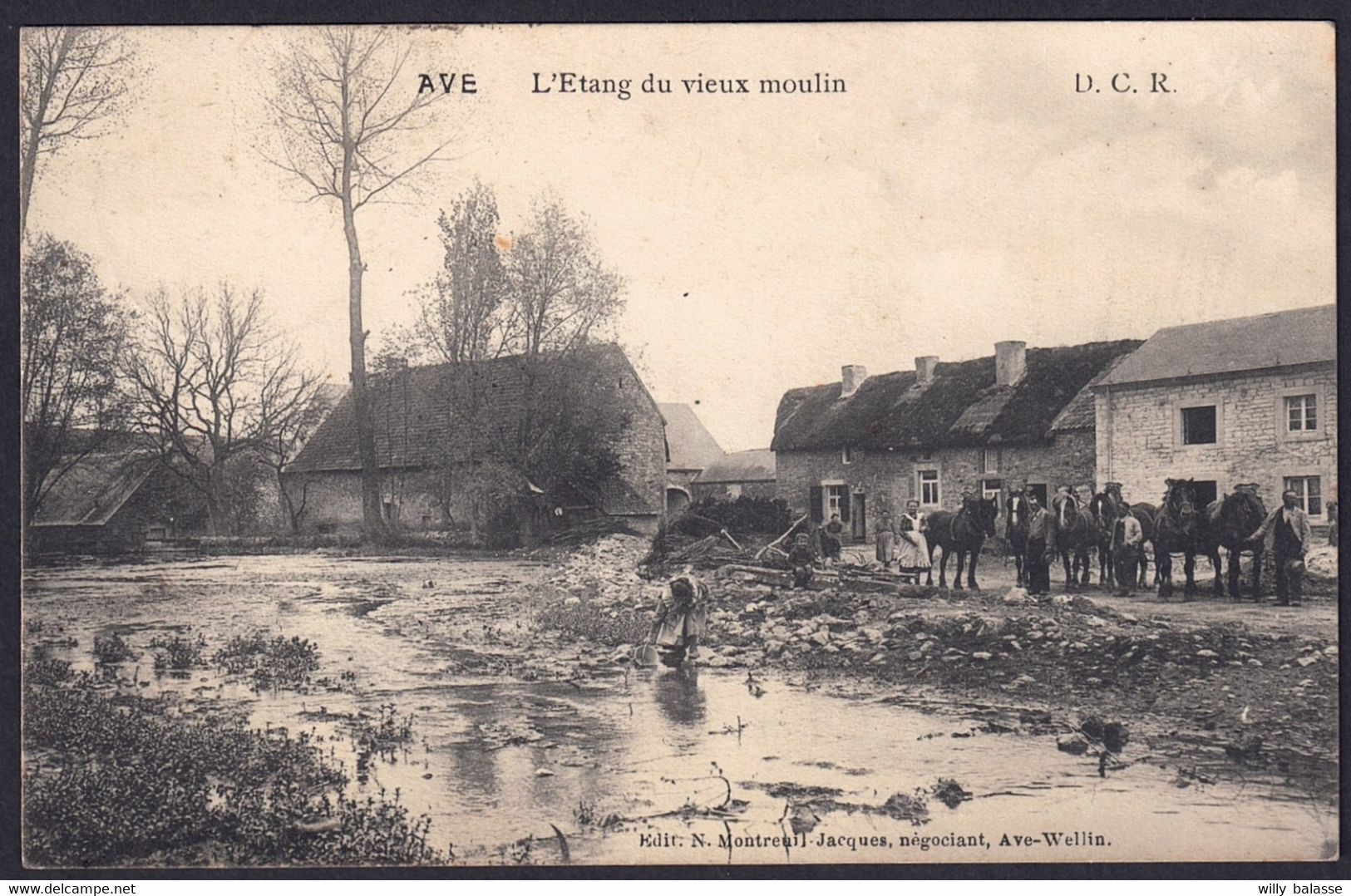 +++ CPA - AVE - Rochefort - L'Etang Du Vieux Moulin - Chevaux - Carte Animée  // - Rochefort