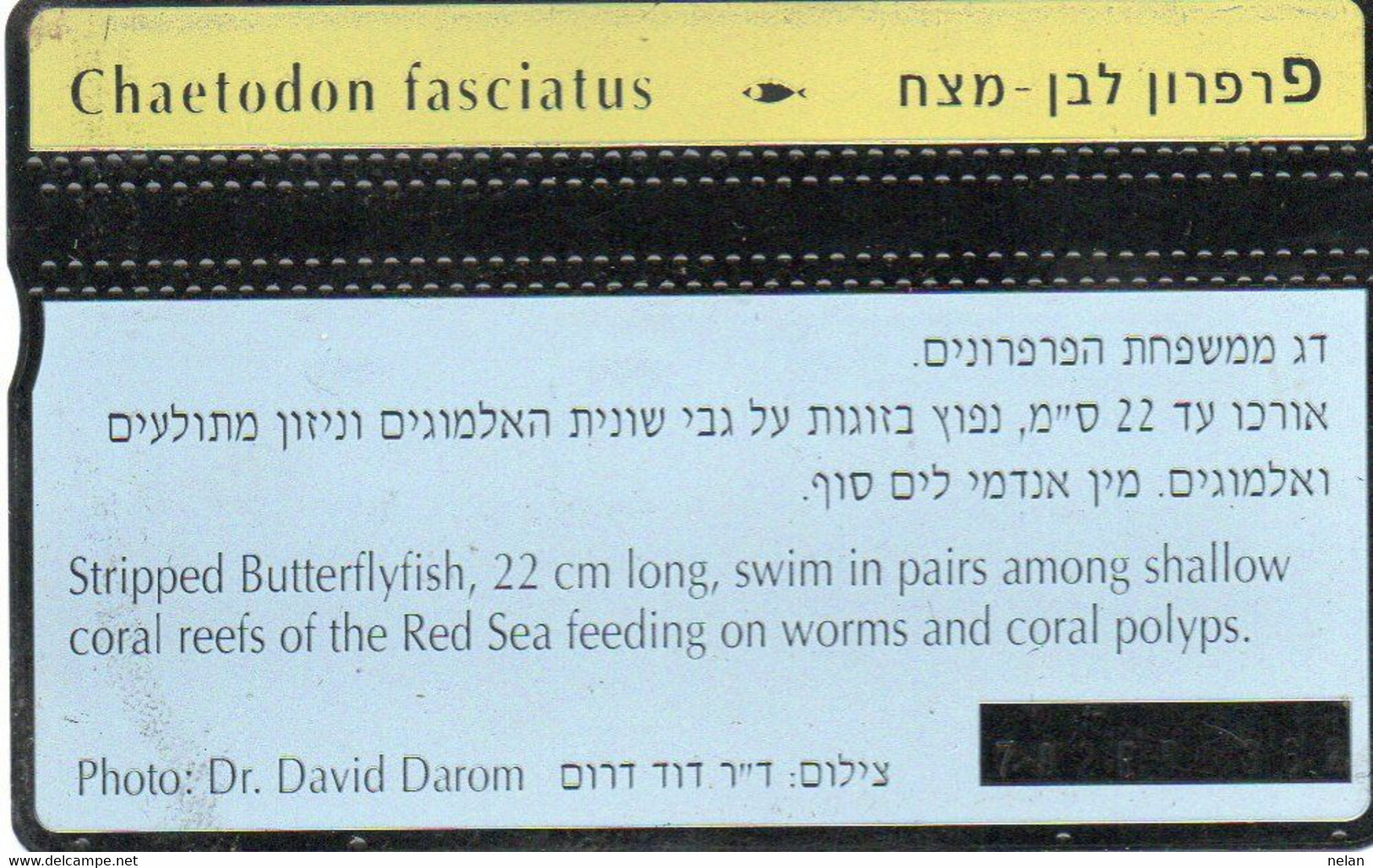 PHONE CARD - ISRAEL - TELECARD - BEZEQ - Peces