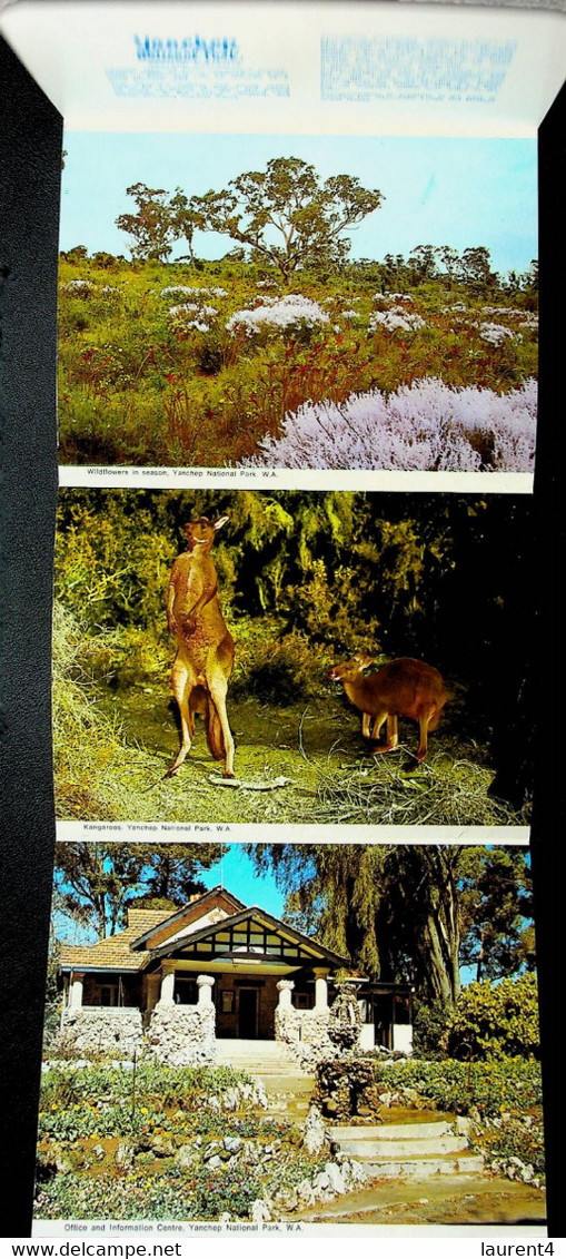 (Booklet 130) Australia - WA - Yanchen NP (older) - Otros & Sin Clasificación