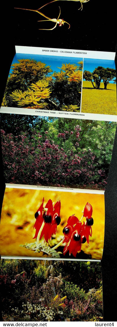 (Booklet 130) Australia - WA - Wild Flowers - Fremantle