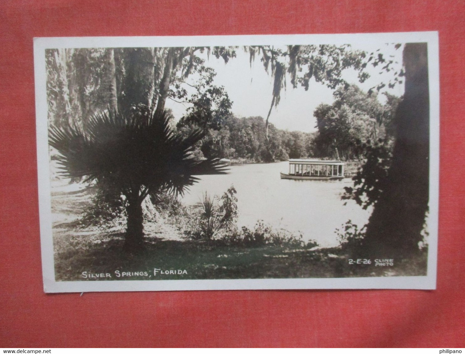 RPPC     Silver Springs  Florida > Silver Springs     Ref  4874 - Silver Springs