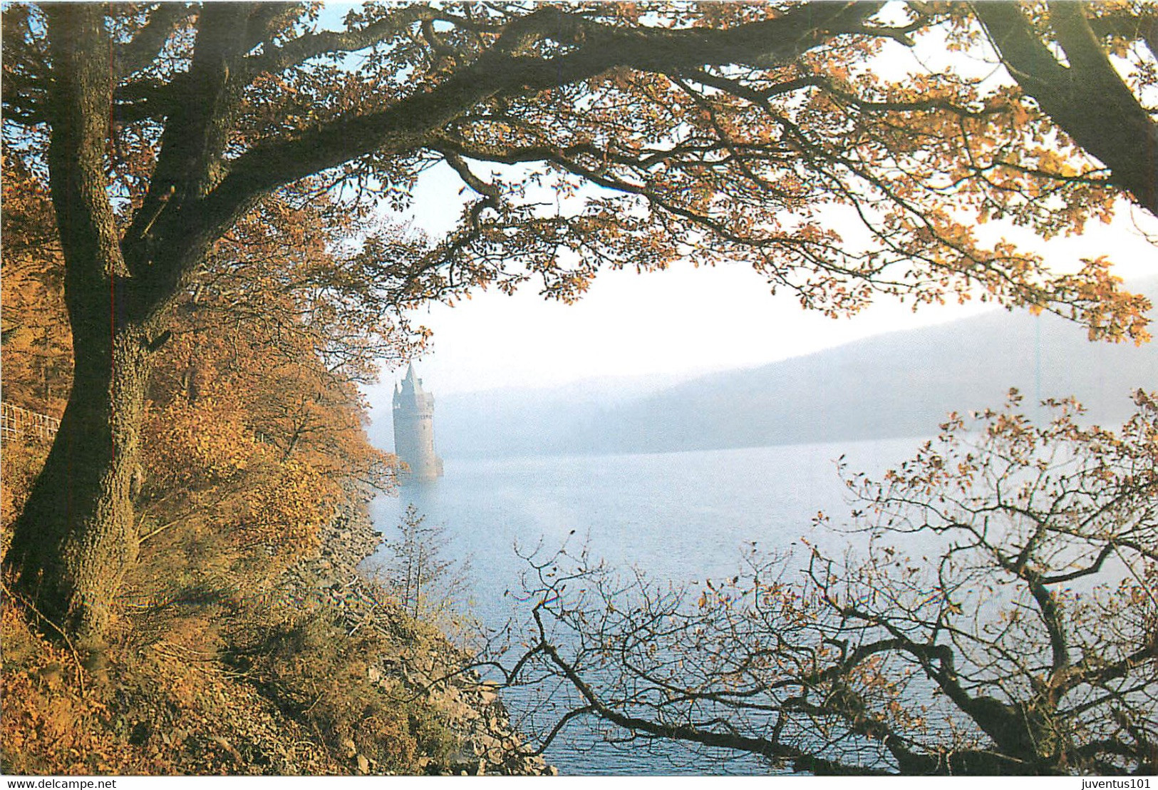 CPSM Autumn,lake Vyrnwy        L521 - Montgomeryshire