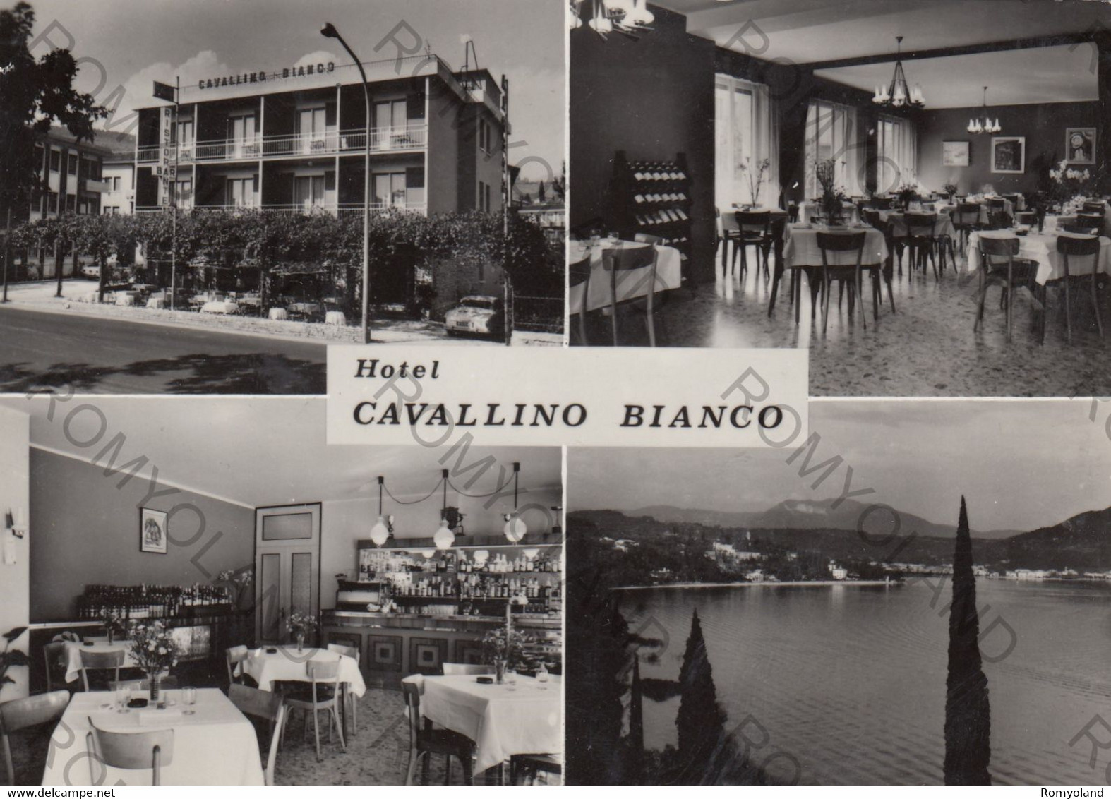 CARTOLINA  GARDA,LAGO DI GARDA,VERONA,VENETO,HOTEL CAVALLINO BIANCO,STORIA,BARCHE A VELA,RIPOSO,VACANZE,VIAGGIATA 1971 - Verona