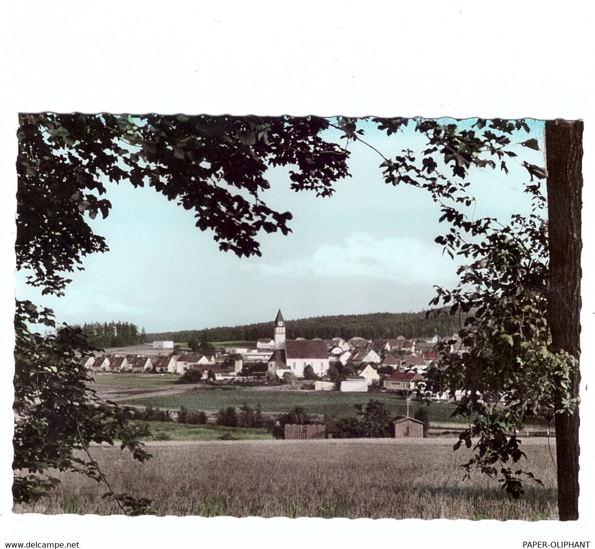 8591 PECHBRUNN, Ortsansicht - Tirschenreuth