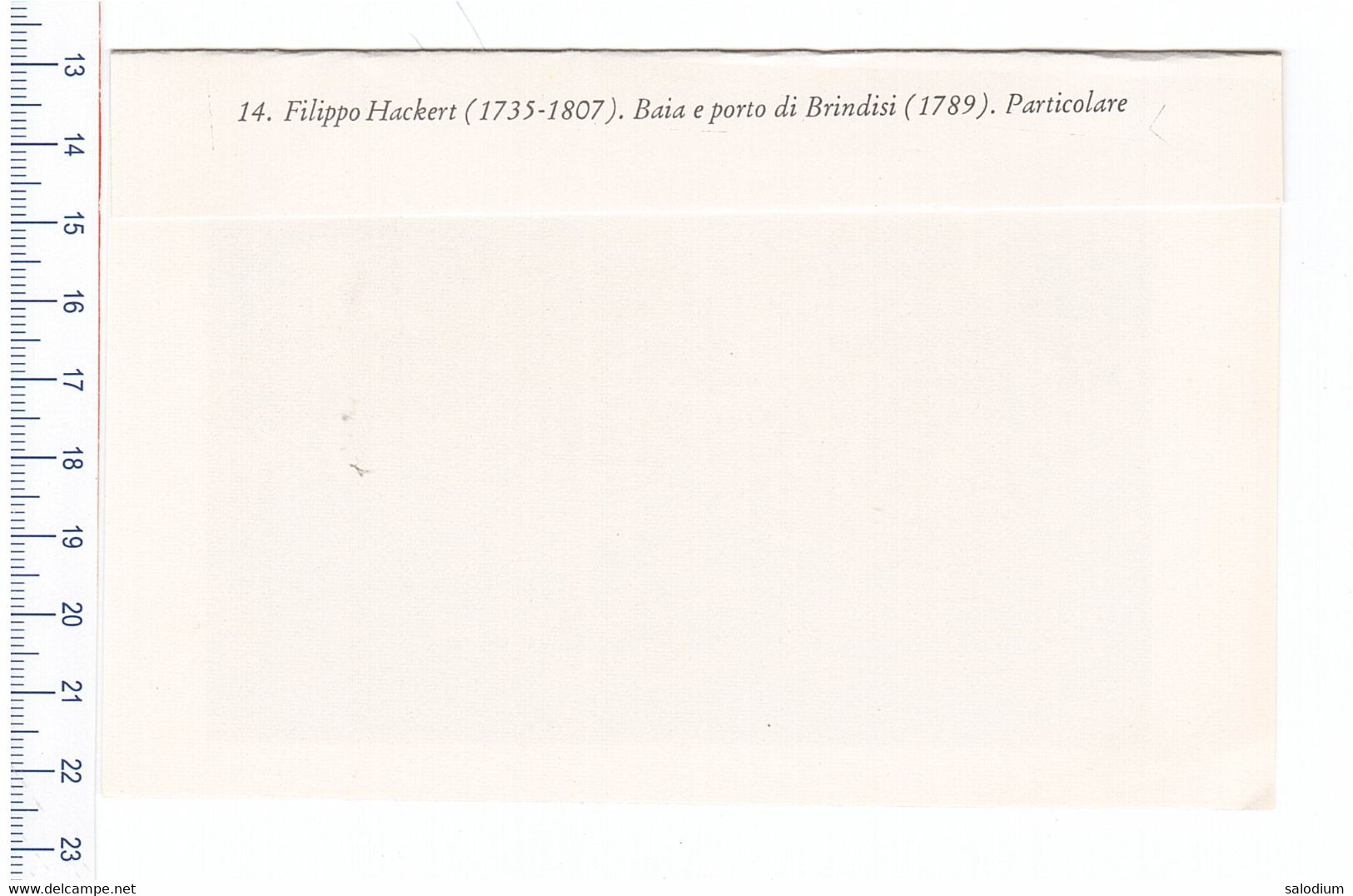 Baia E Porto Di Brindisi - Immagine Ritagliata Da Pubblicazione Originale D'epoca - Other & Unclassified