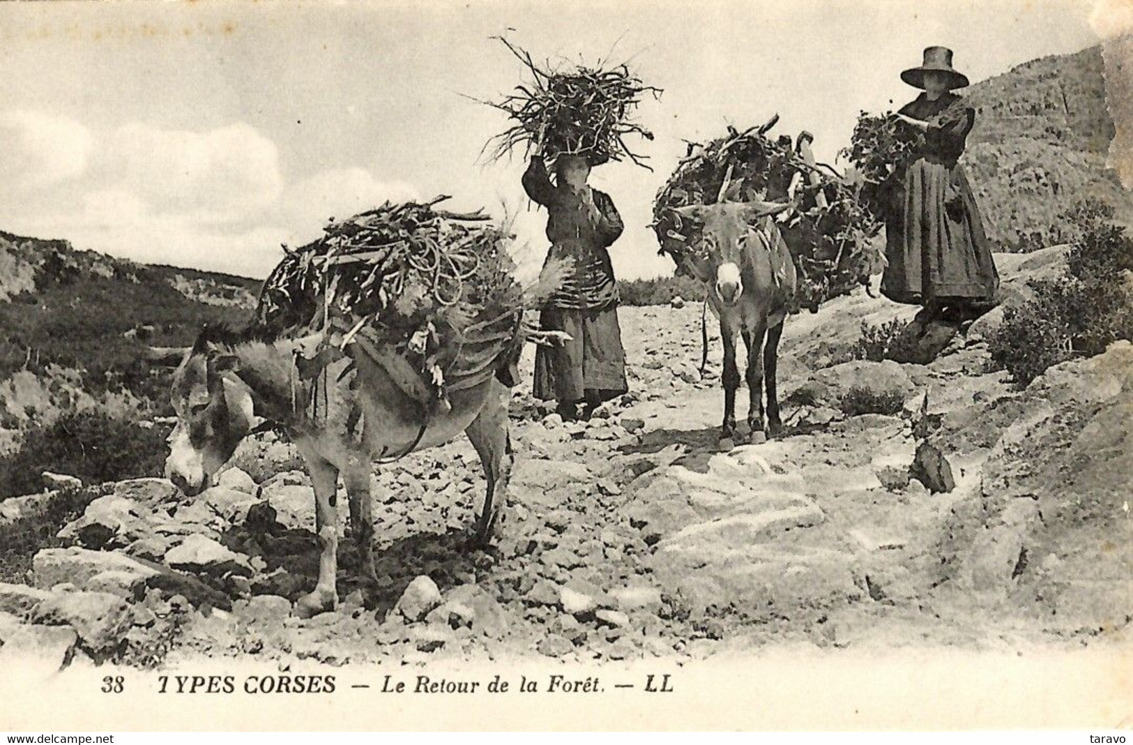 CORSE  - TYPE CORSE - Retour De La Forêt - Otros & Sin Clasificación