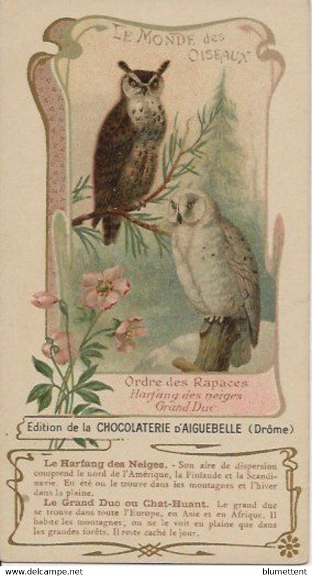Chromo Aiguebelle 7 X 13.5 - Le Monde Des Oiseaux Rapaces - Aiguebelle