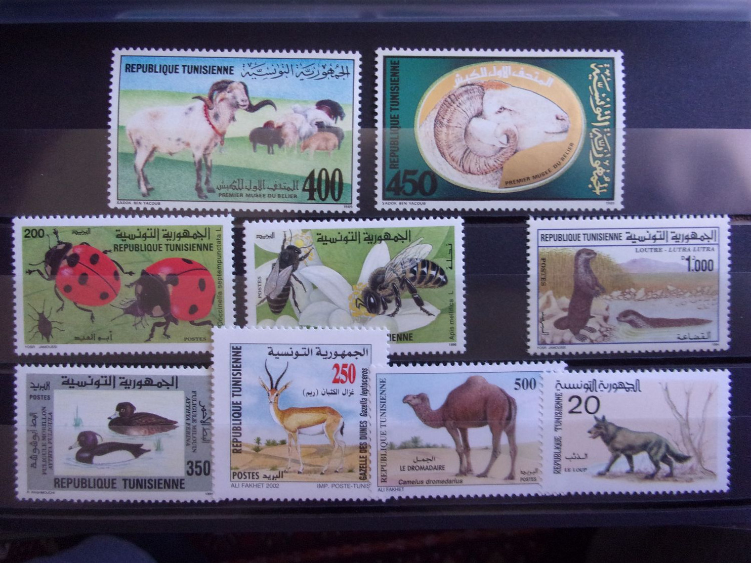 TUNISIE BELLE LOT ANIMAUX NEUF** DEPART 1 EURO - Tunisia