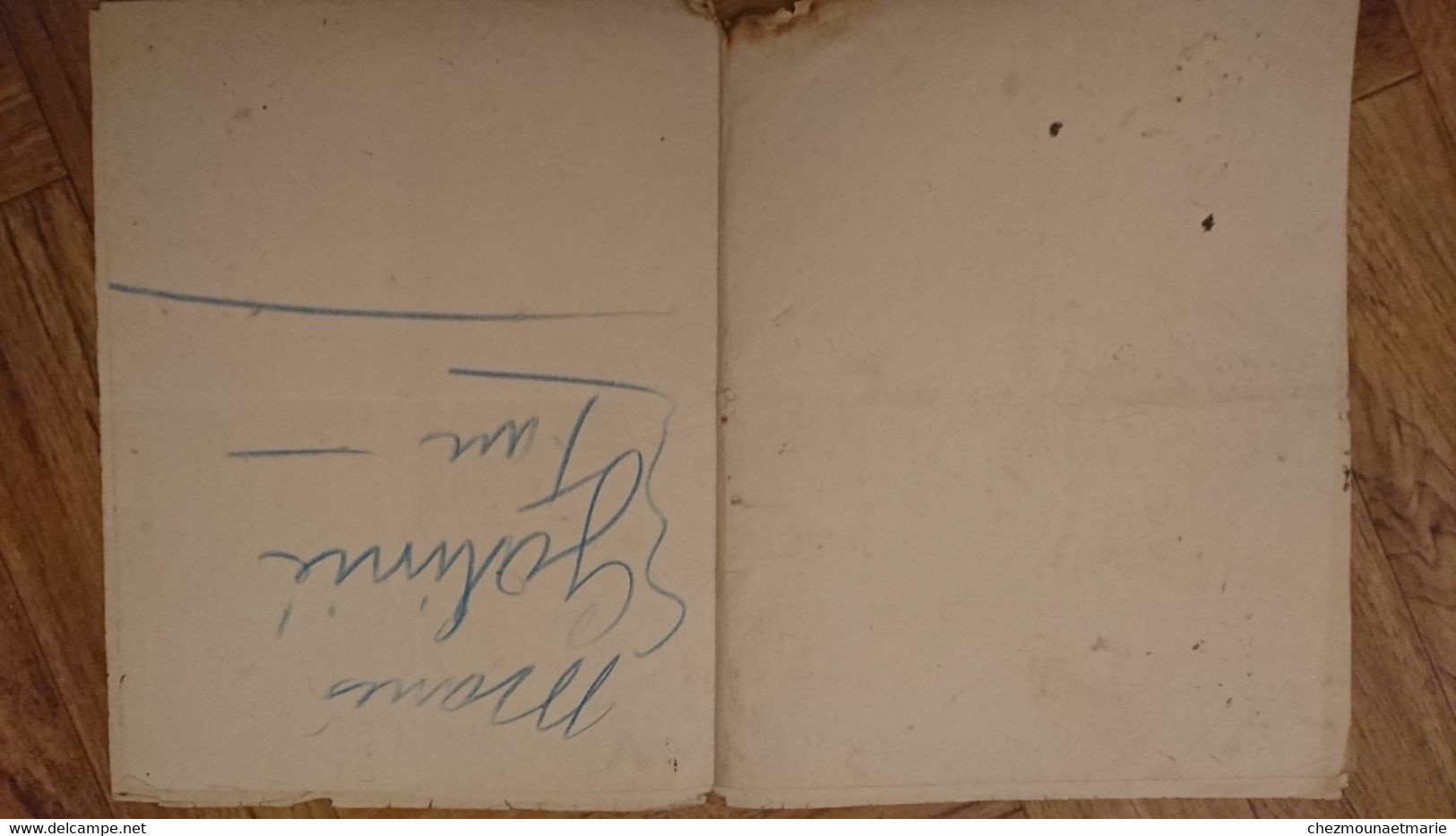 1897 CANTON DE SERVIAN PROCES VERBAL POUR DELIT DE VOL CONTRE DAUNIS MELANIE JARDINIERE NEE A REQUISTA EPOUSE CAU