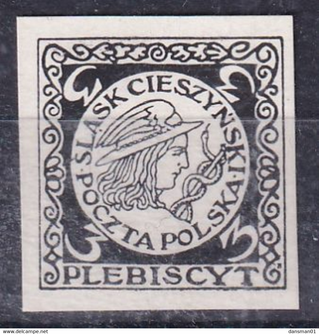 POLAND 1920 3 Hal Slask Cieszynski Mint Hinged Essay Silesia - Labels