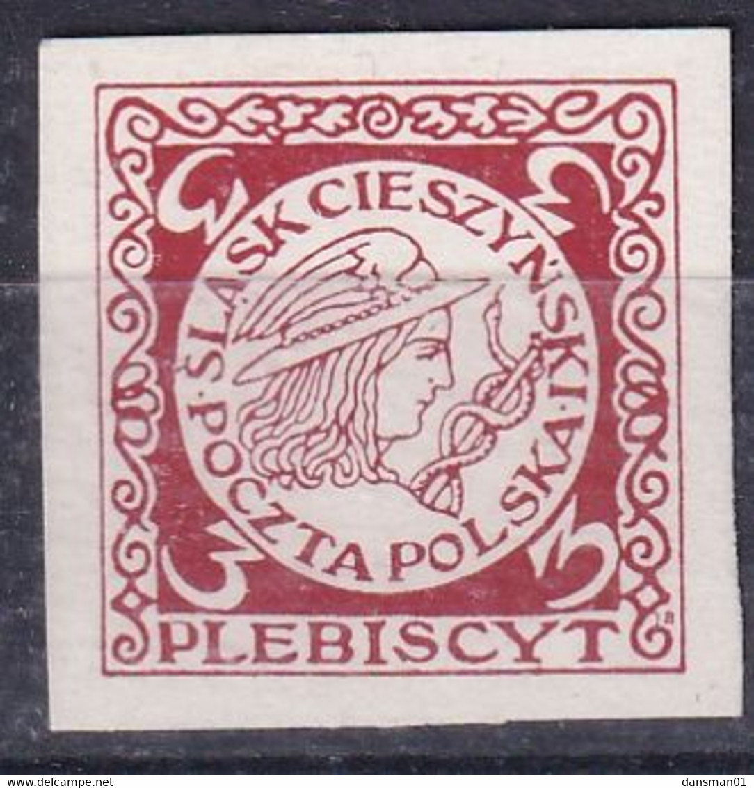 POLAND 1920 3 Hal Slask Cieszynski Mint Hinged Essay Silesia Red On White Paper - Labels