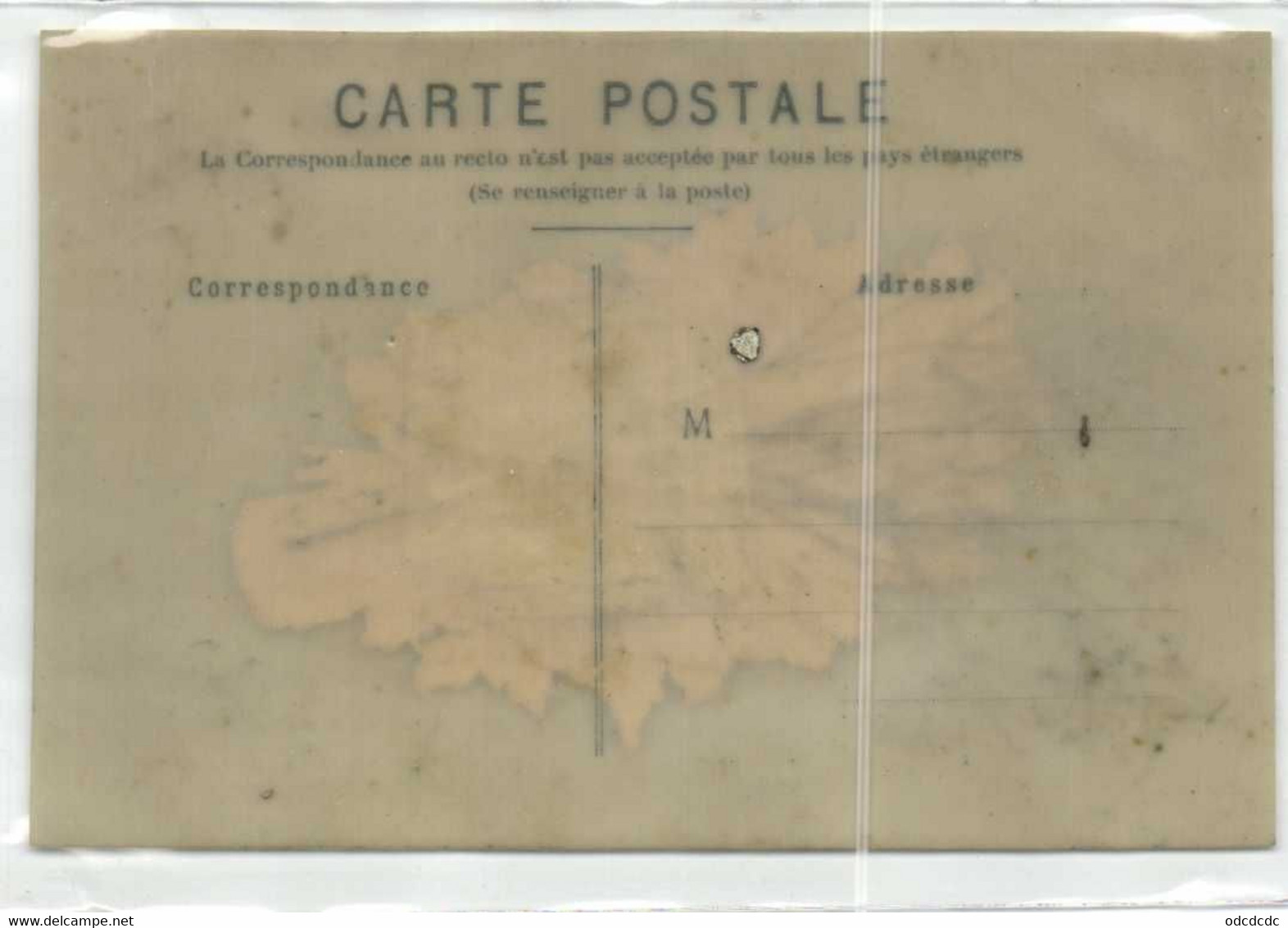 Carte Mica Ajoutis Main Souvenir Pensées Feuillage RV - Other & Unclassified