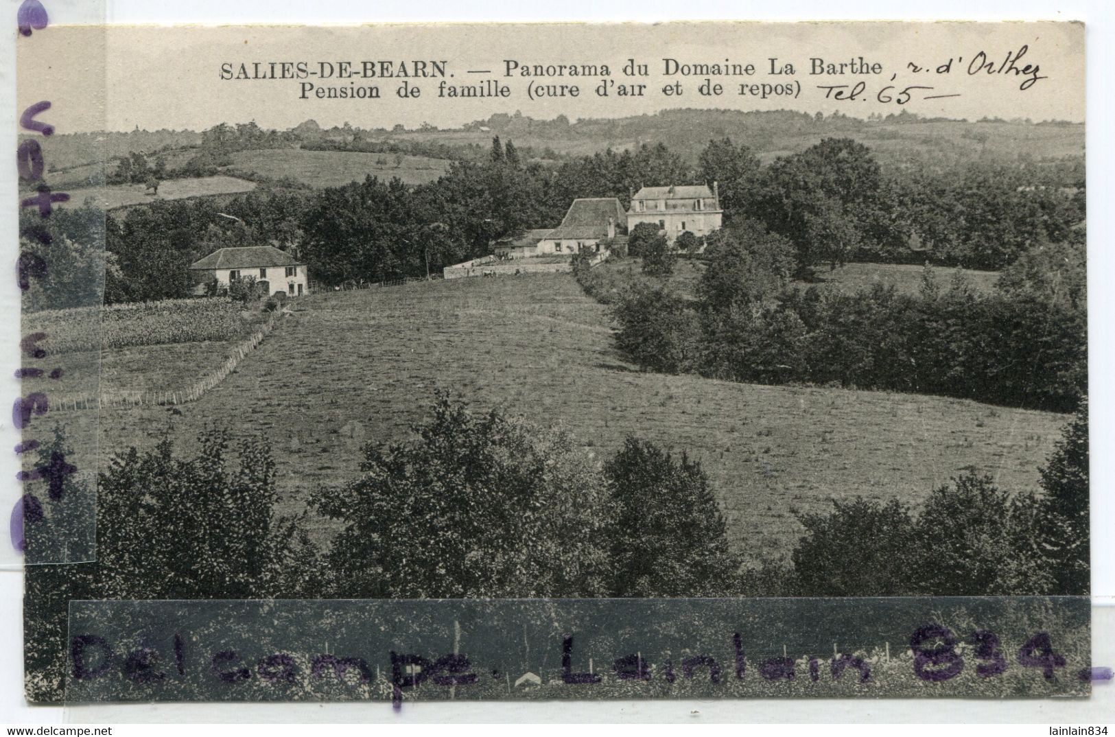 - Salies-de-Béarn - Panorama Du Domaine La Barthe, Pension De Famille... Peu Courante, Non écrite,  TTBE, Scans. - Salies De Bearn