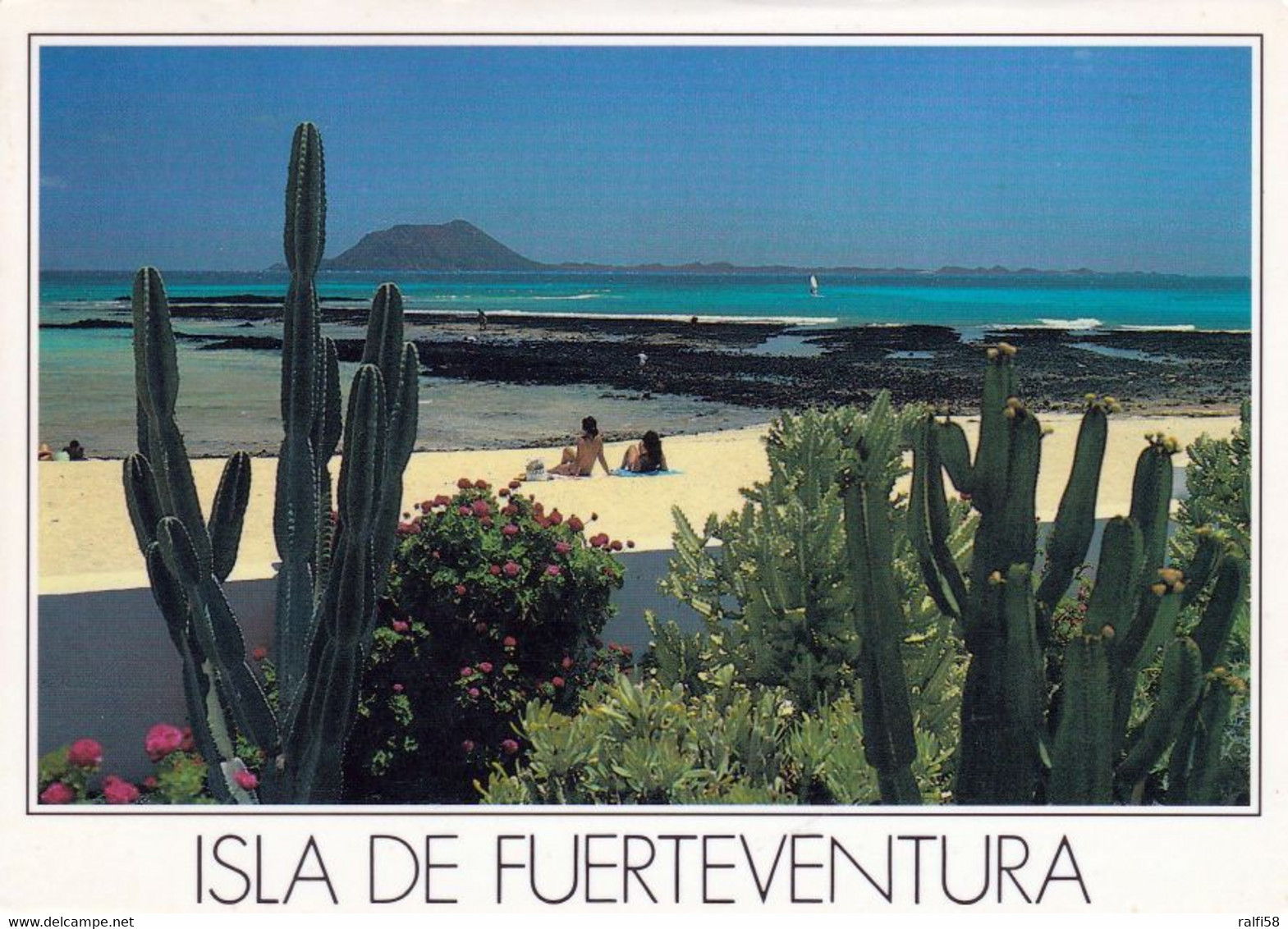 12 AK Insel Fuerteventura * Landschaften auf Fuerteventura *