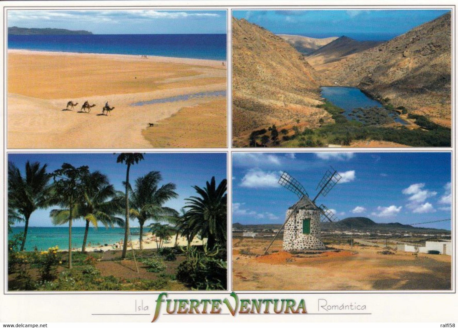 12 AK Insel Fuerteventura * Landschaften auf Fuerteventura *