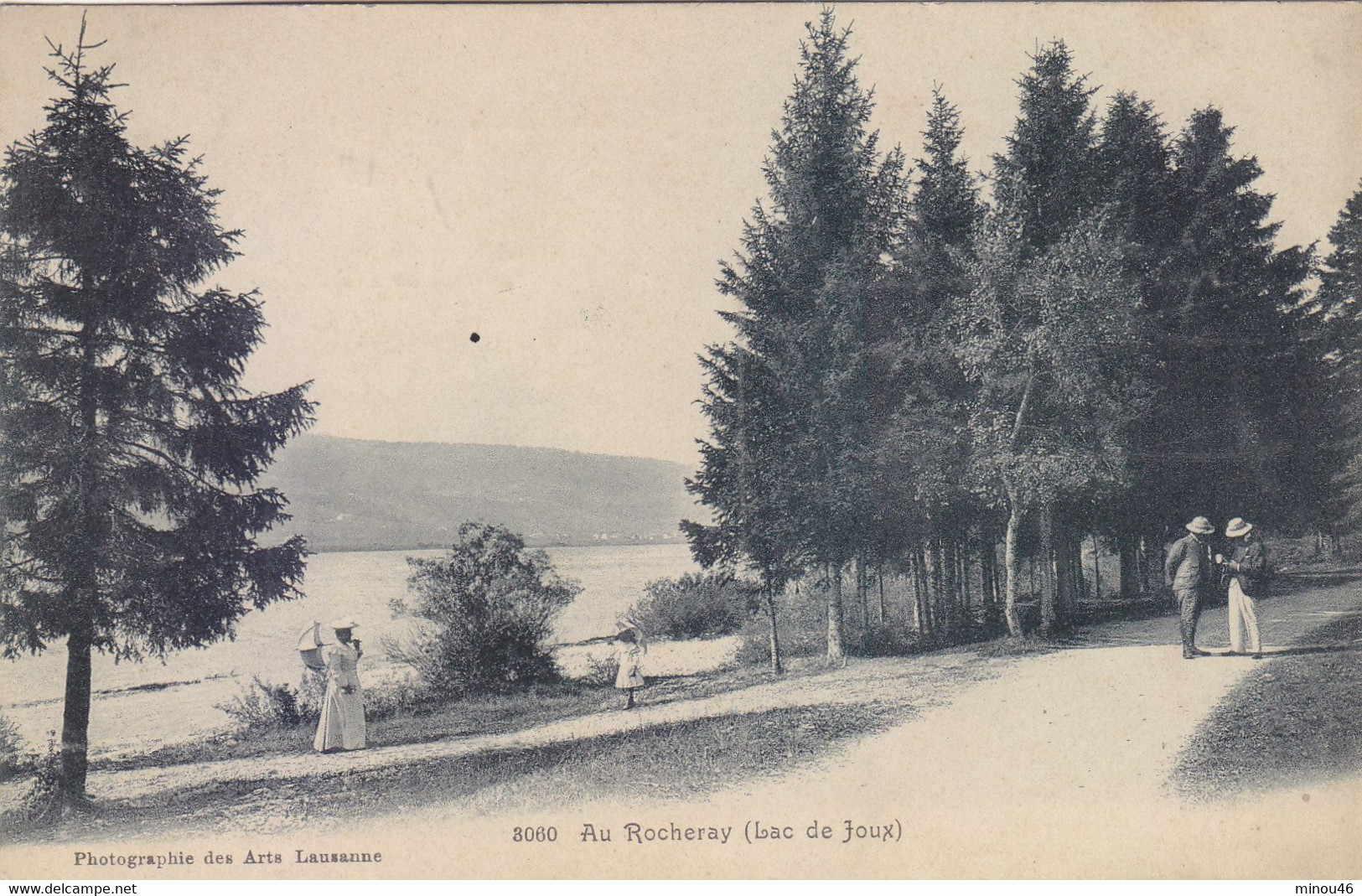 LAC DE JOUX: CPA NON TROUVEE SUR DIVERS SITES.DE 1914.AU ROCHERAY.ANIMEE. T.B.ETAT.PETIT PRIX. - Roche